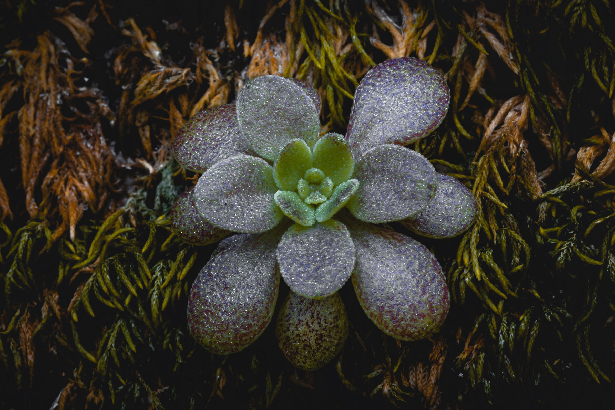 Untitled Photo