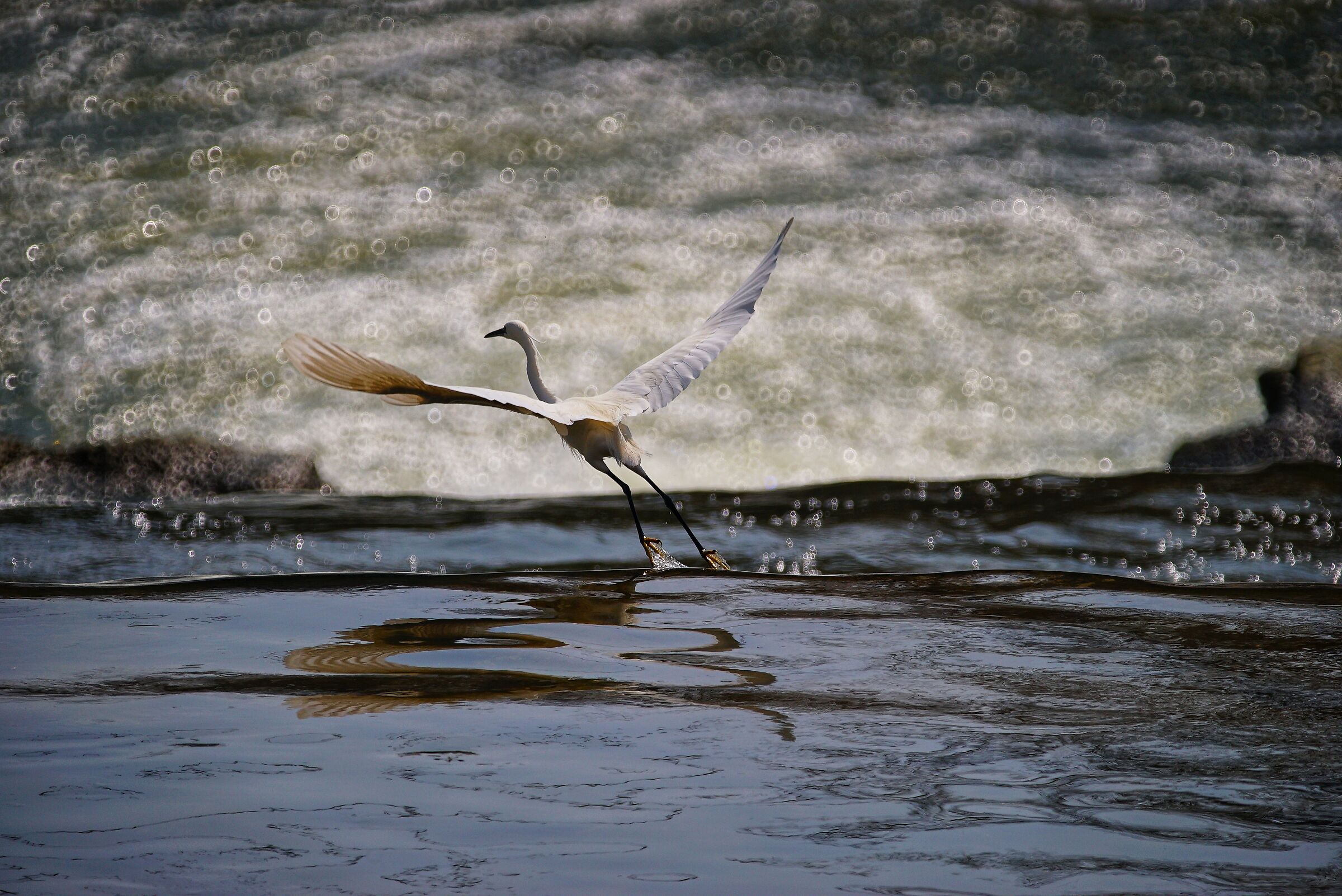 Are we going to start again?