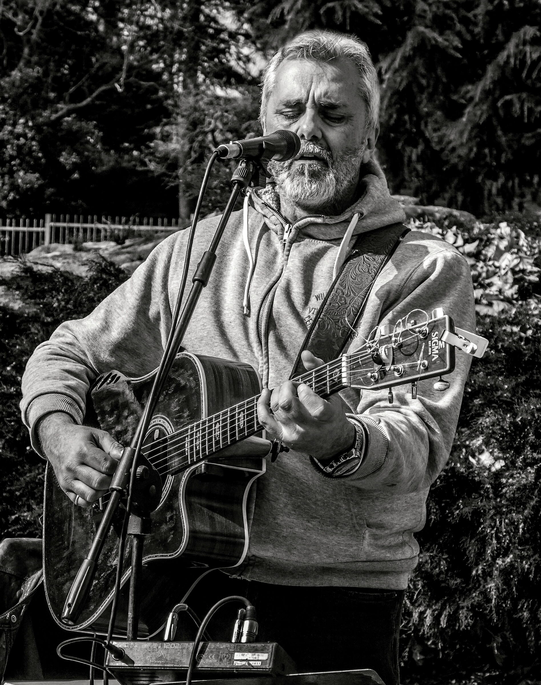 I sing, the sadness that is in me......