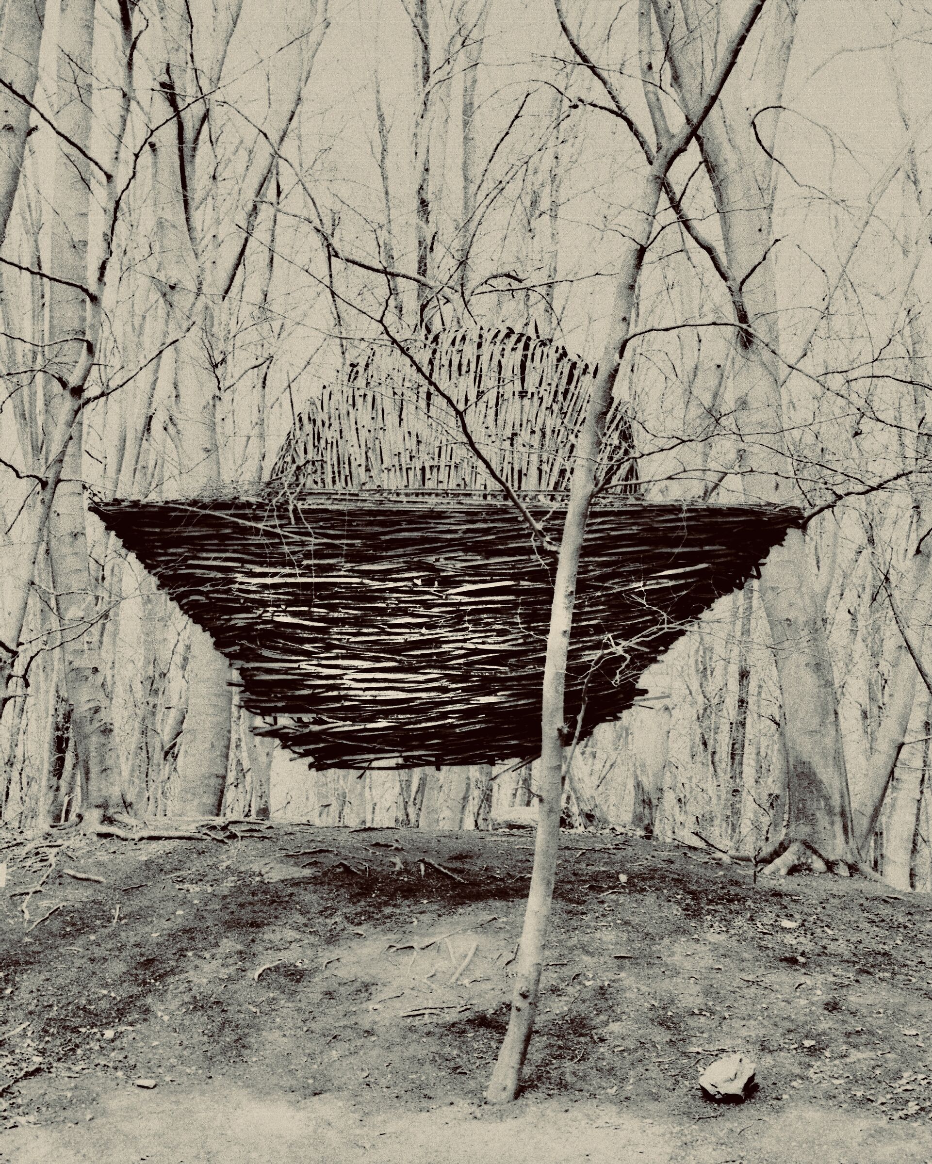 Art in the woods