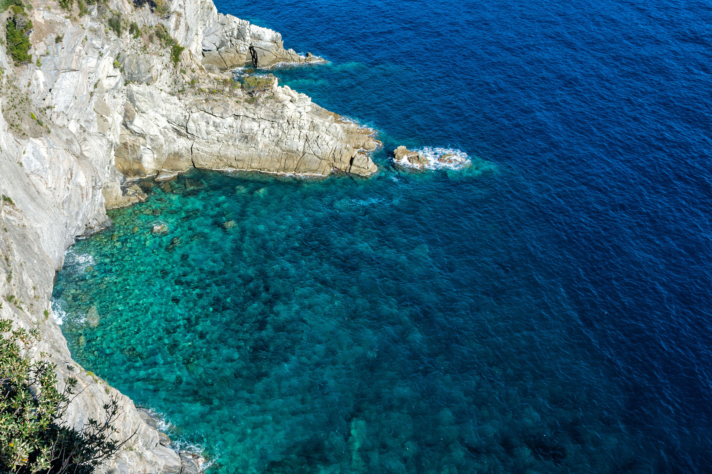 The Blue Cove