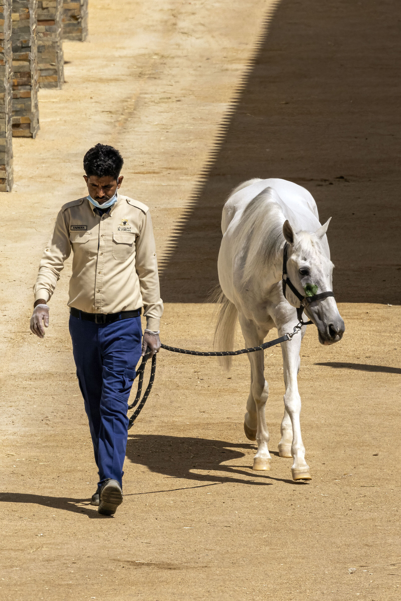 Con il cavallo bianco