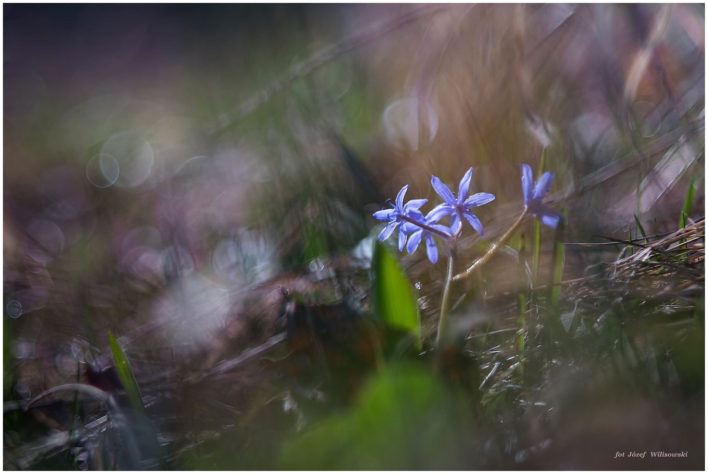 Diaplan modificato 80/2,8