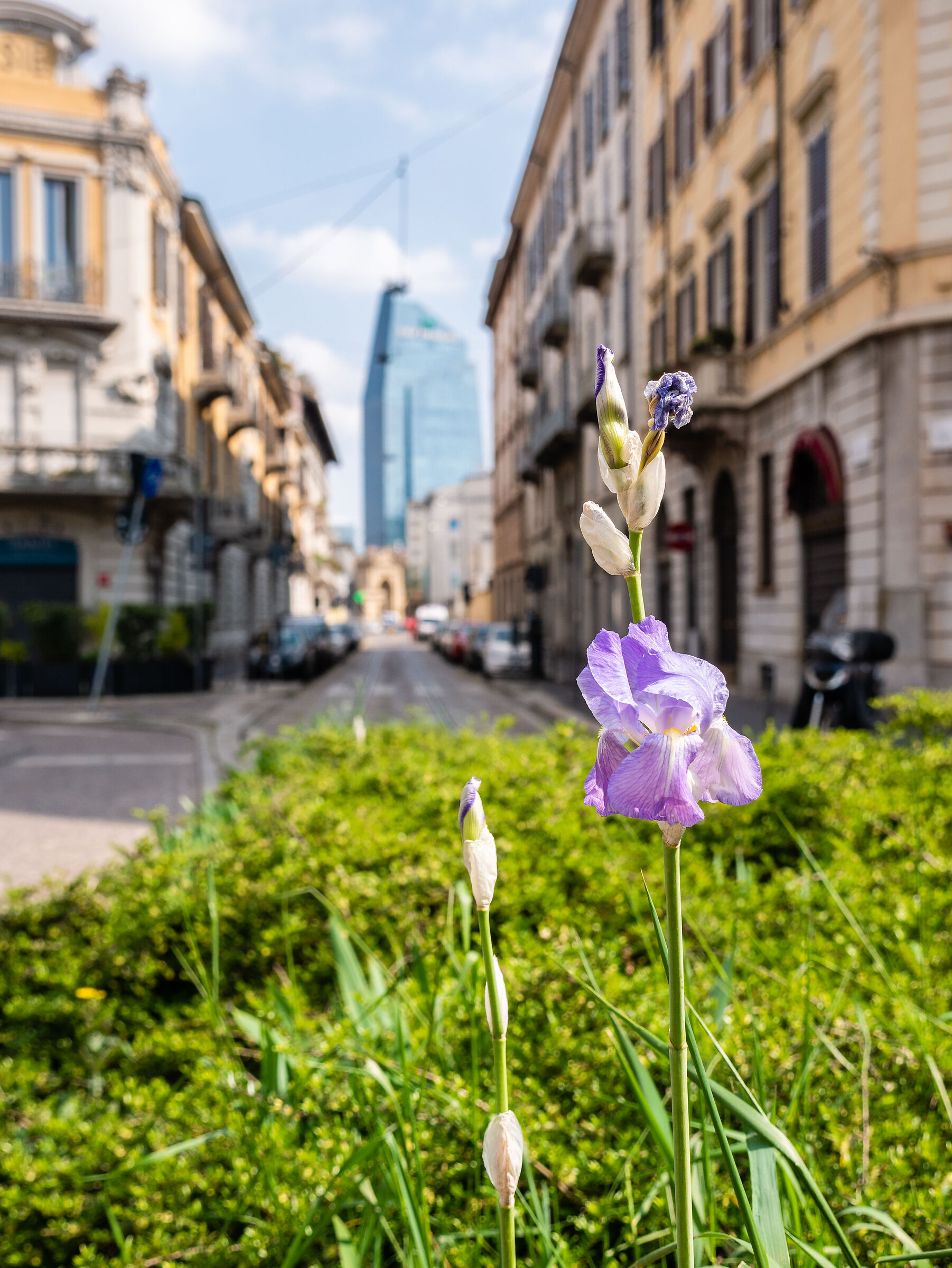 Via Castelfidardo - Milan