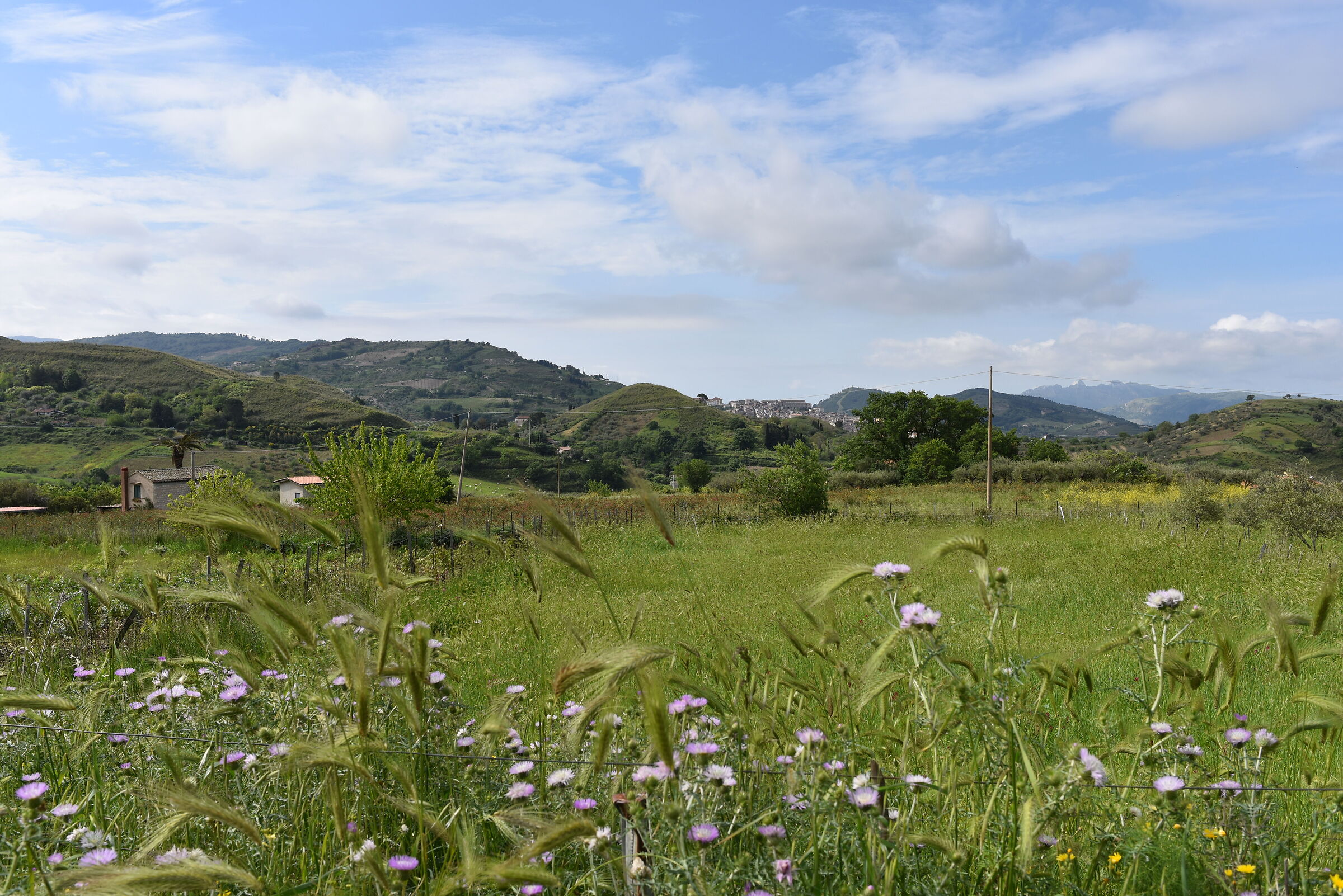 Senza Titolo