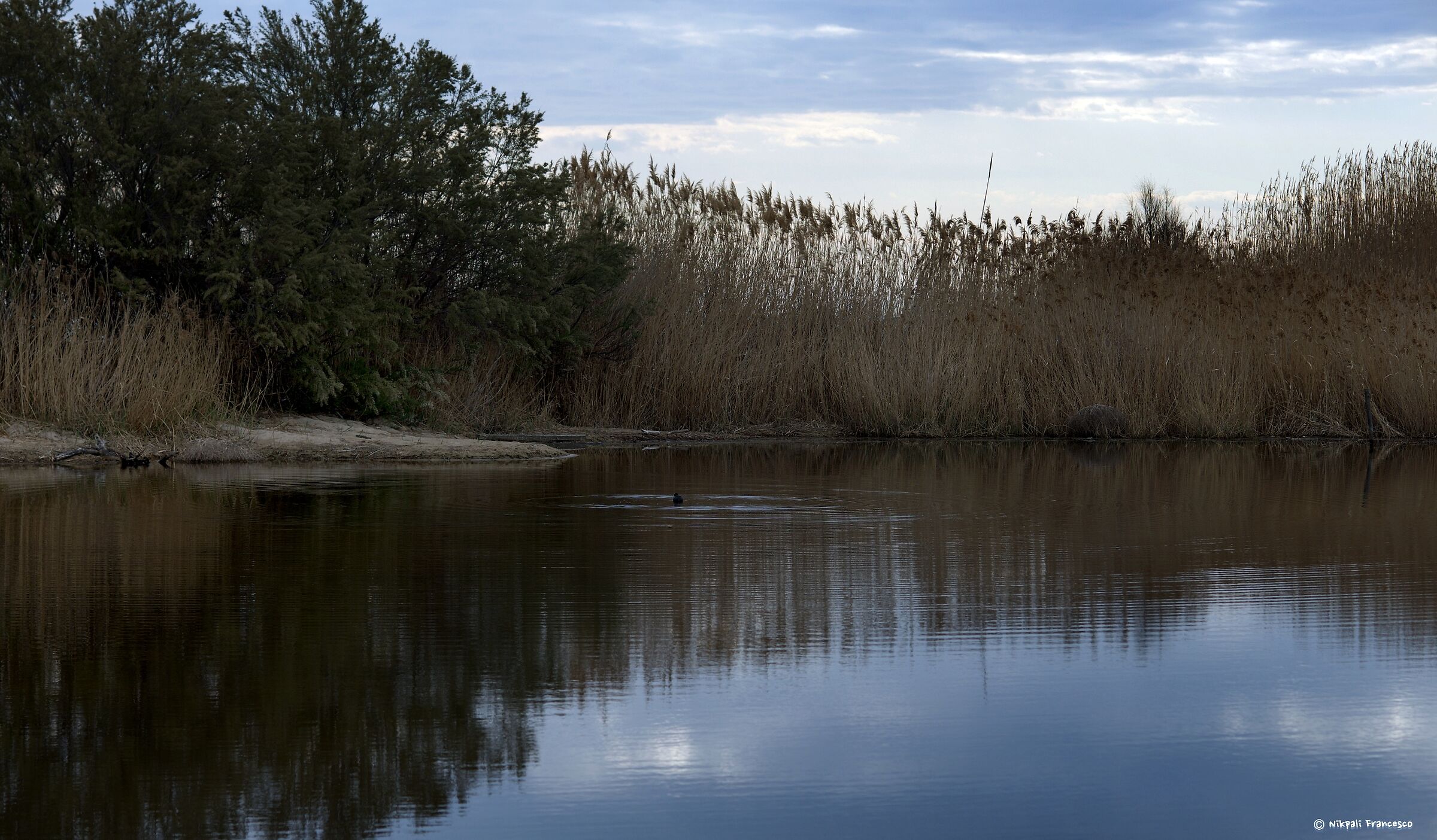 Riserva naturale "la Sentina"