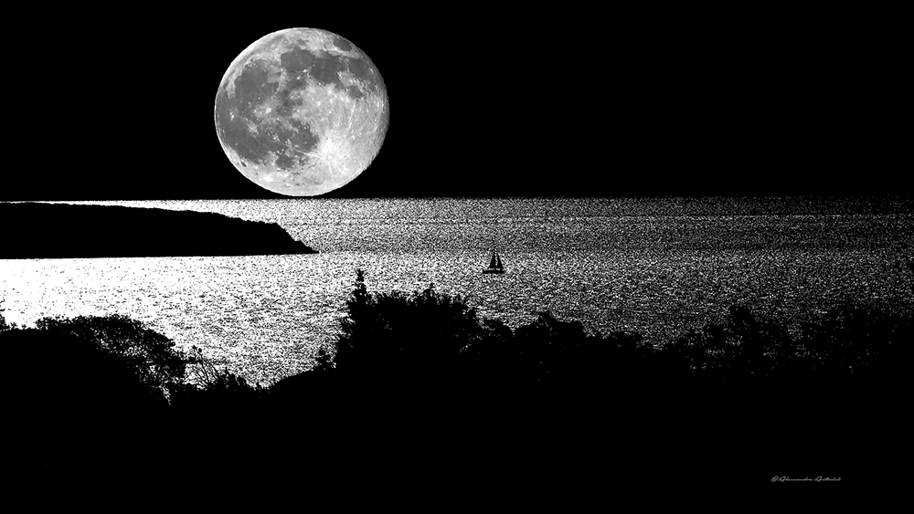 Lune per expo 90x50 Ali D Bond