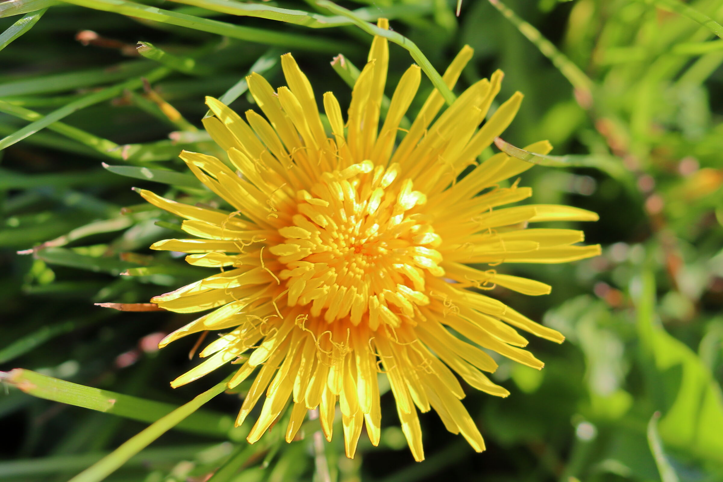 Sotto il sole