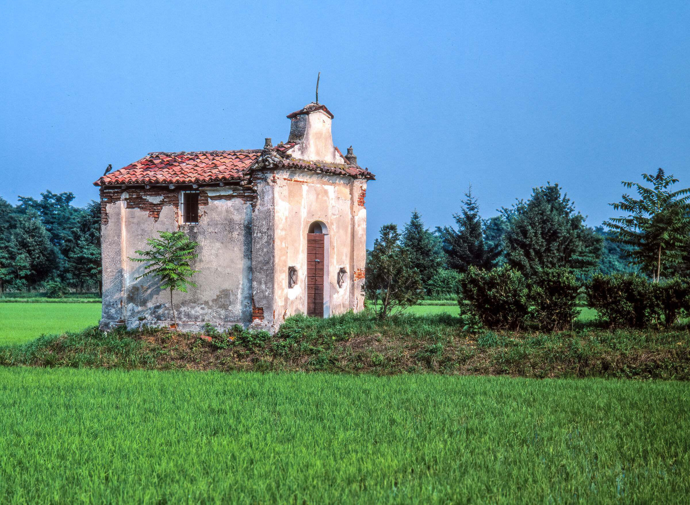 Don't ask me where I took it... i don't remember it