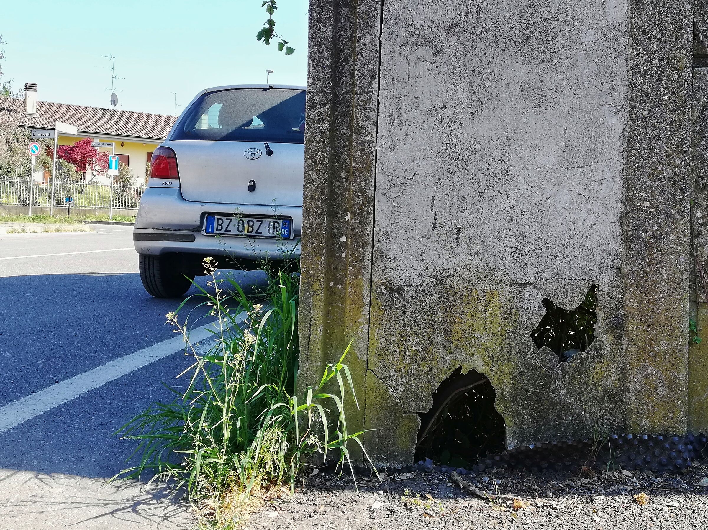 Lo vedete anche voi il gatto?