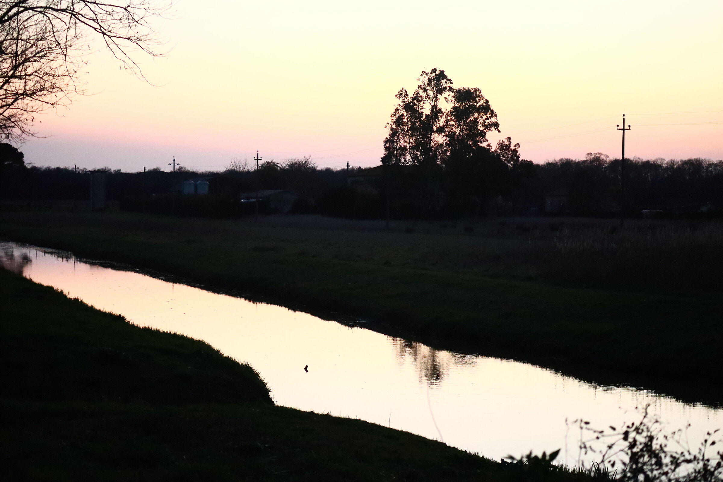 Coltano Marsh Reclamation Canal