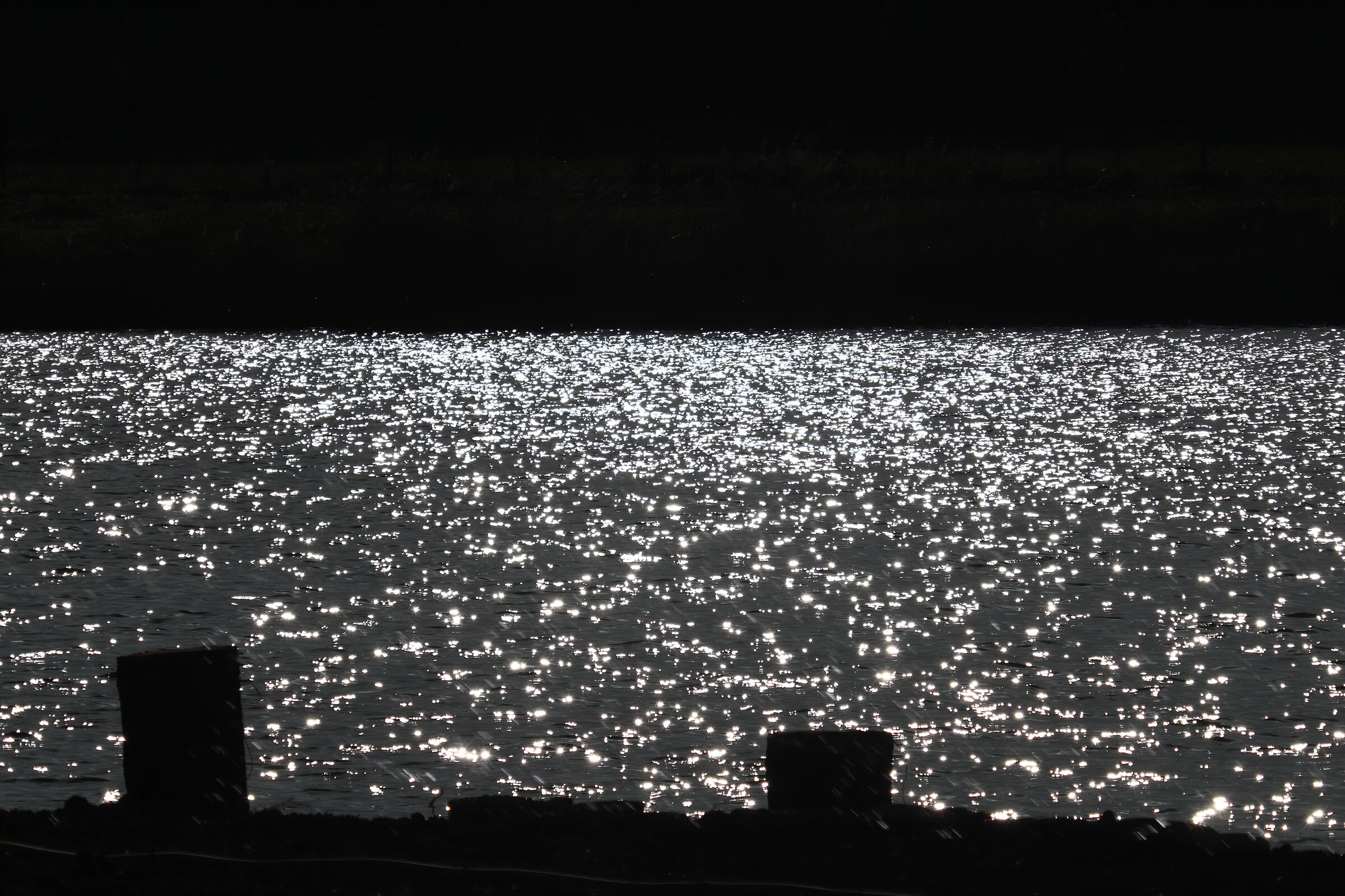 Reflections on Lake Tamerici, Coltano