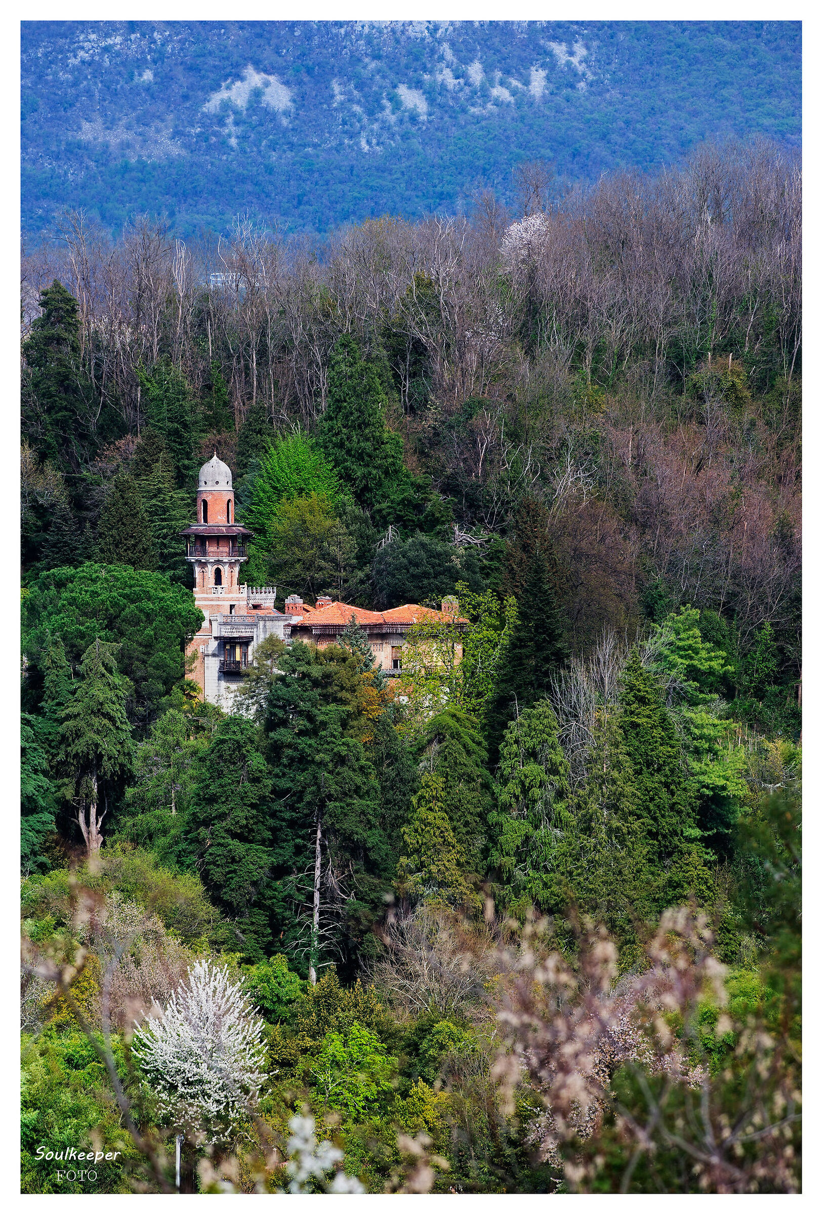 Immersed in the woods.