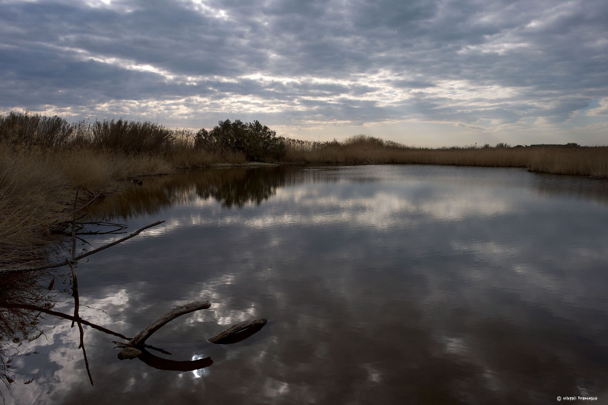 Nature reserve "la Sentina"
