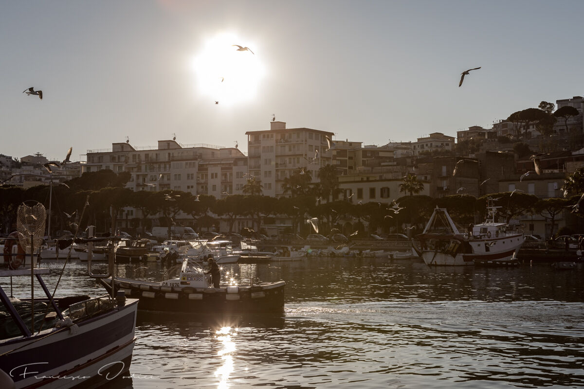 ritorno dei pescherecci