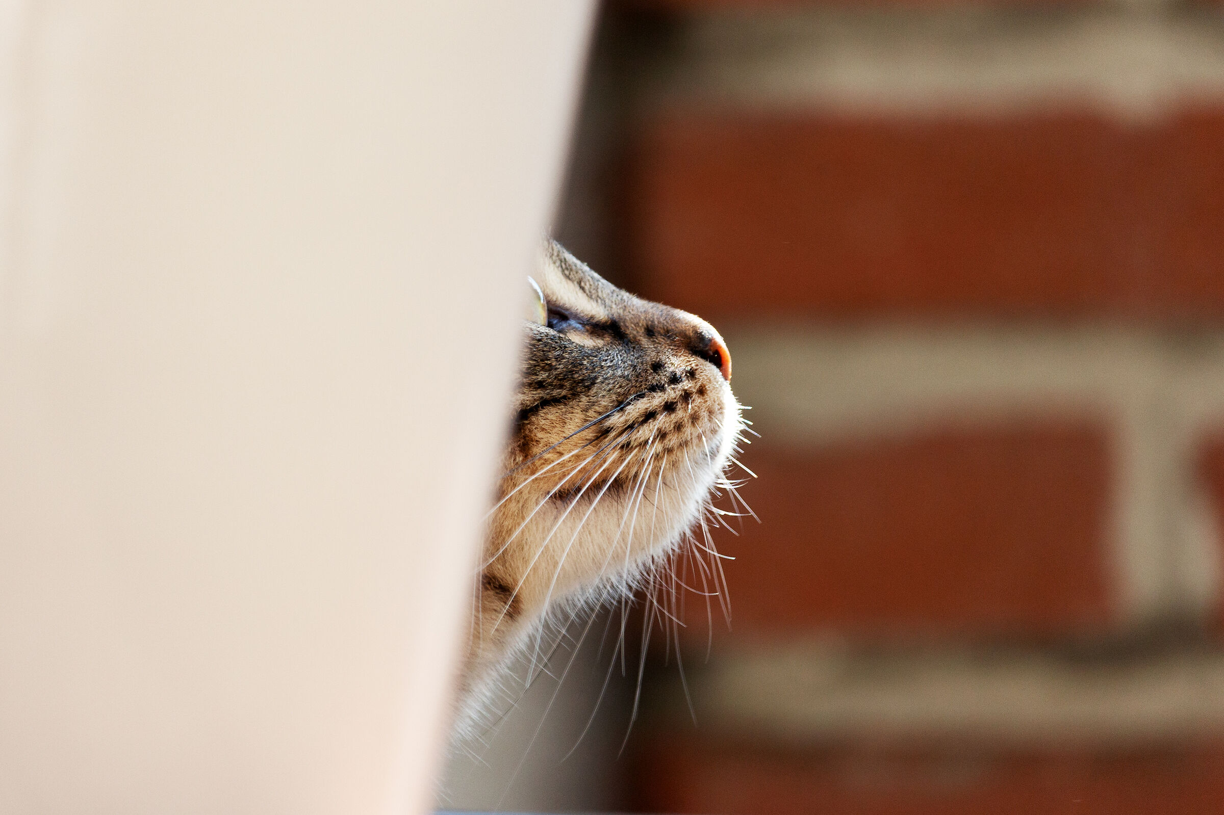 ... with the nose up