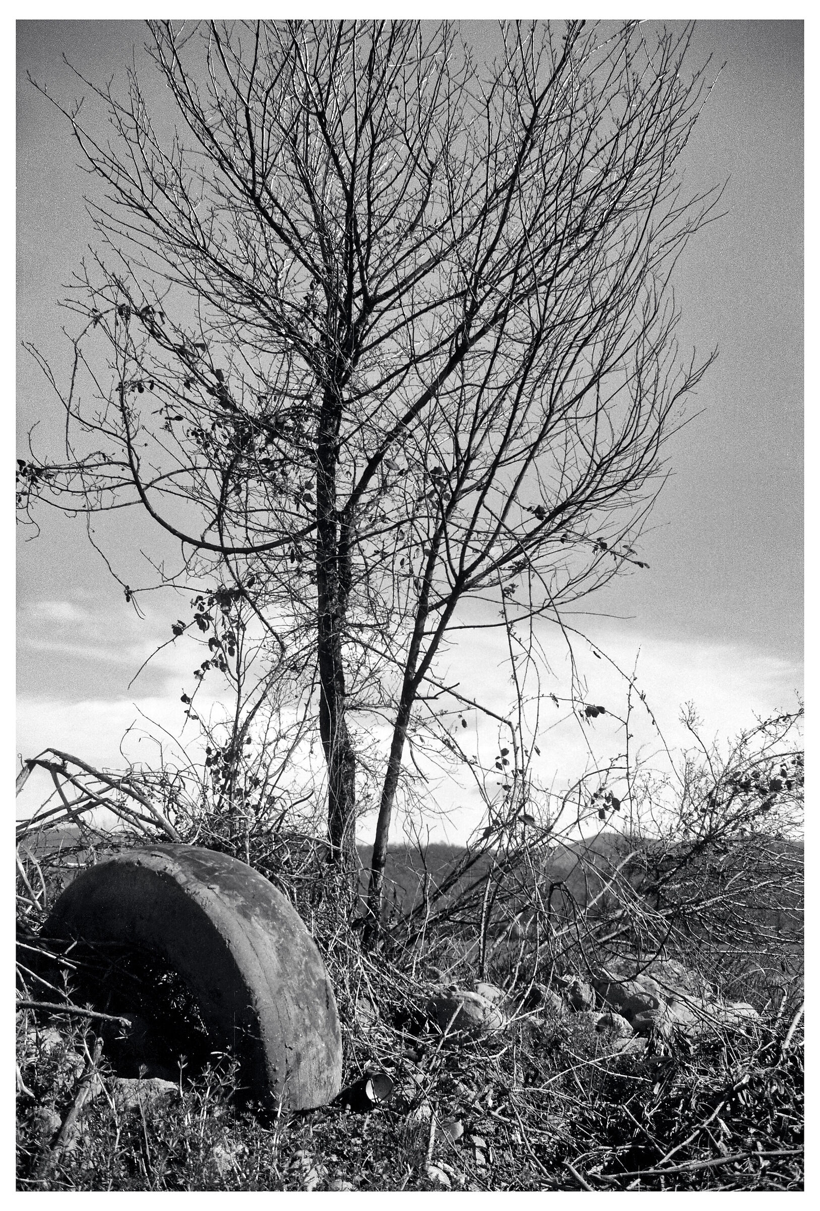 Composizione moderna