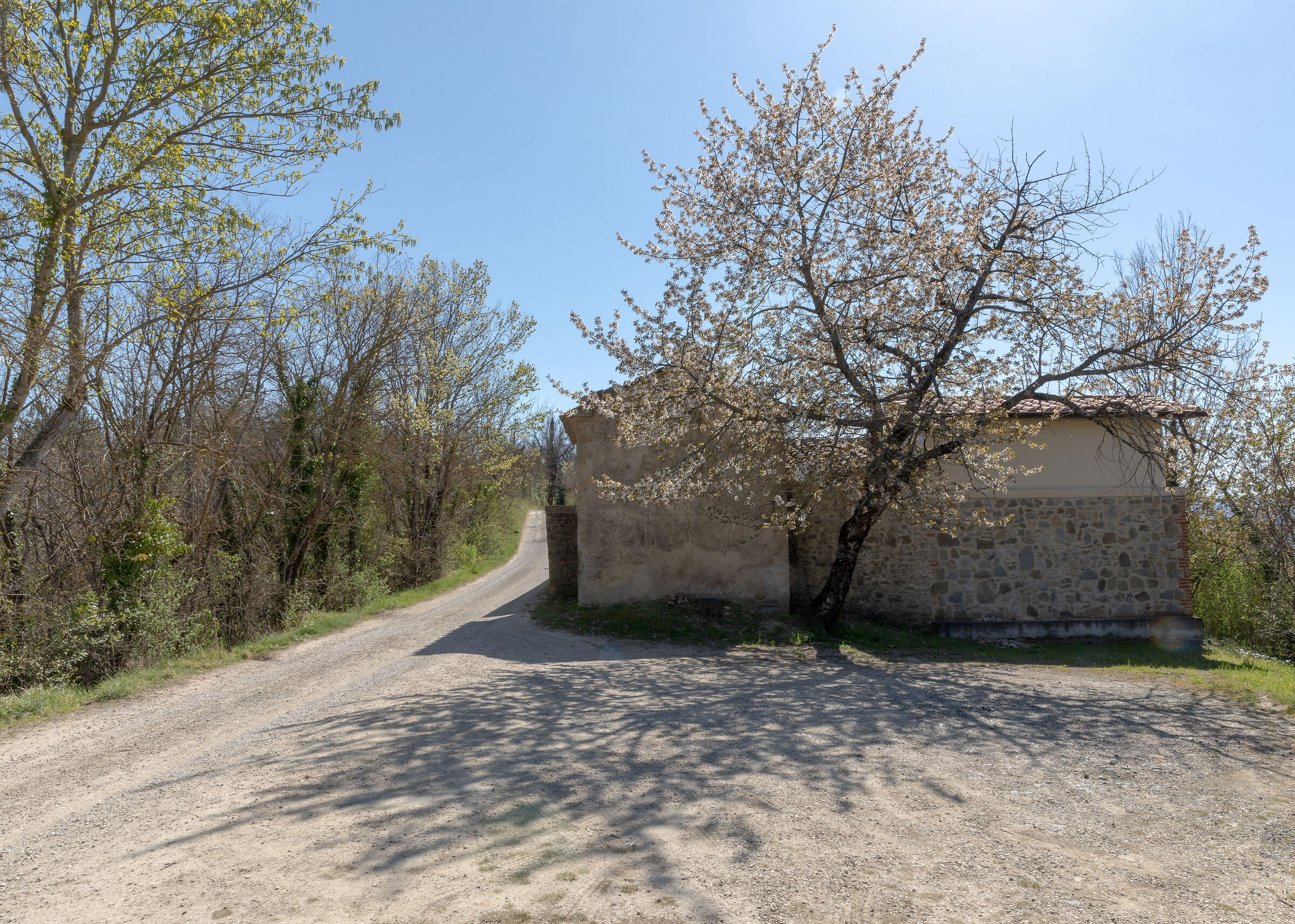 Cospaia-