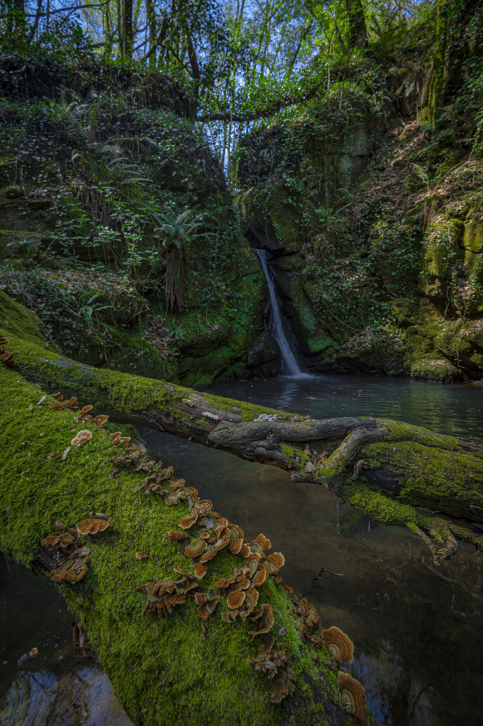 the waterfall of the trasoro well