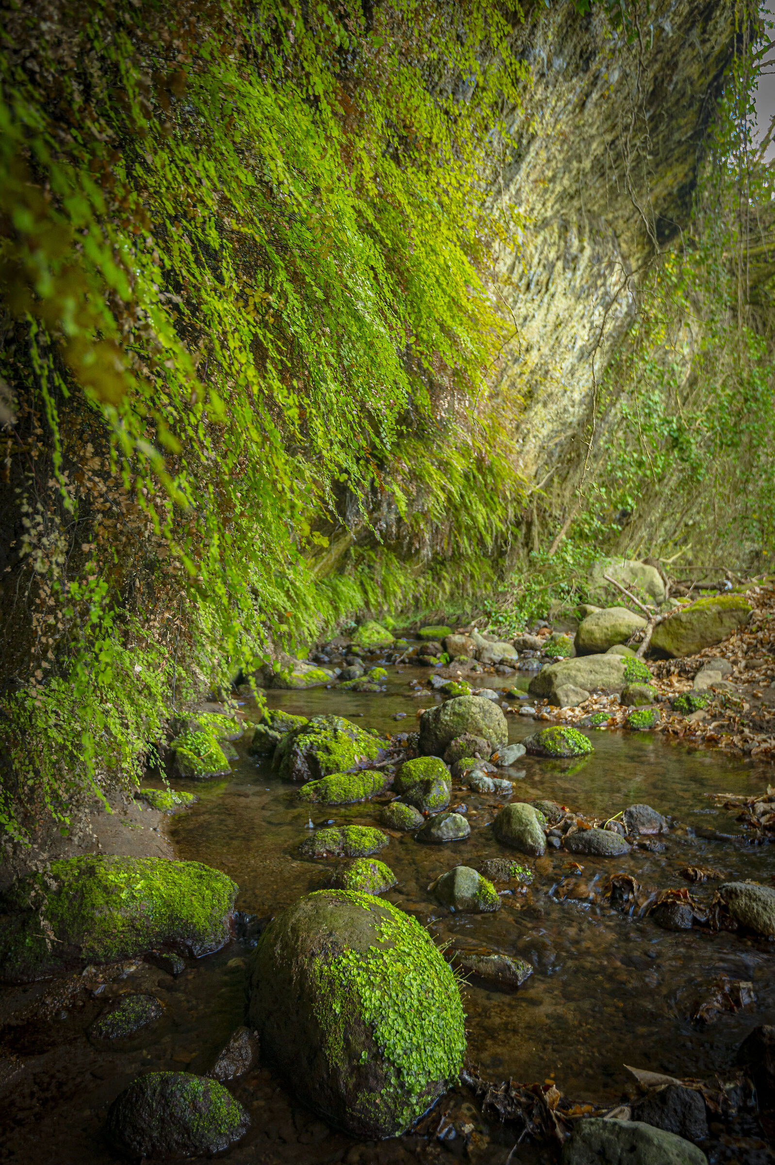 il dolce scorrere delle acque del fosso corniente