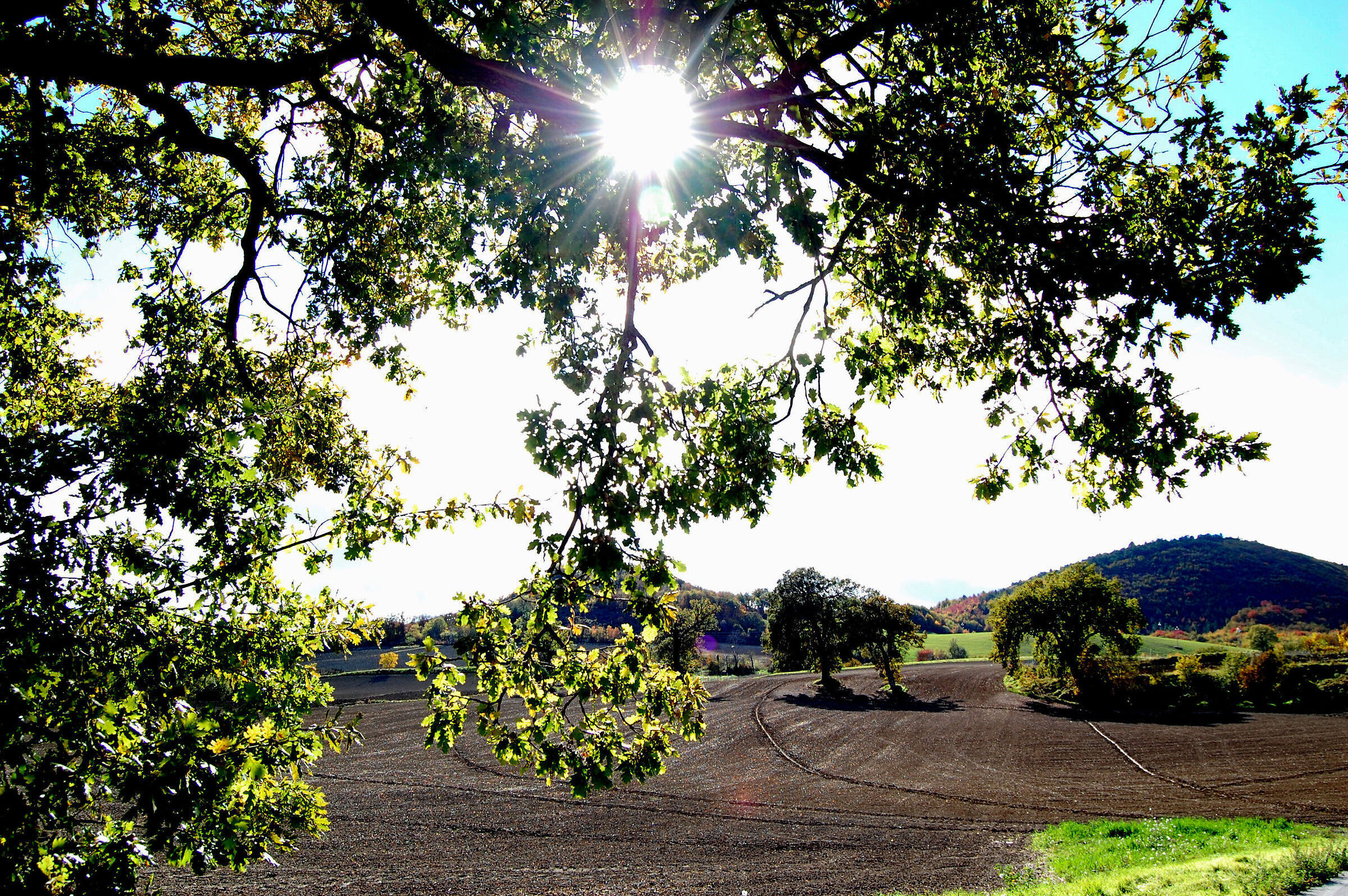 Ploughing in the Fabrianese hills