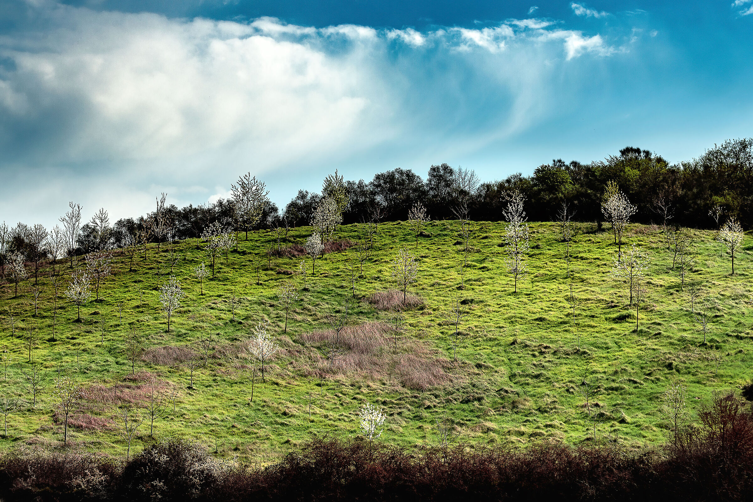 Southern Valdichian landscape