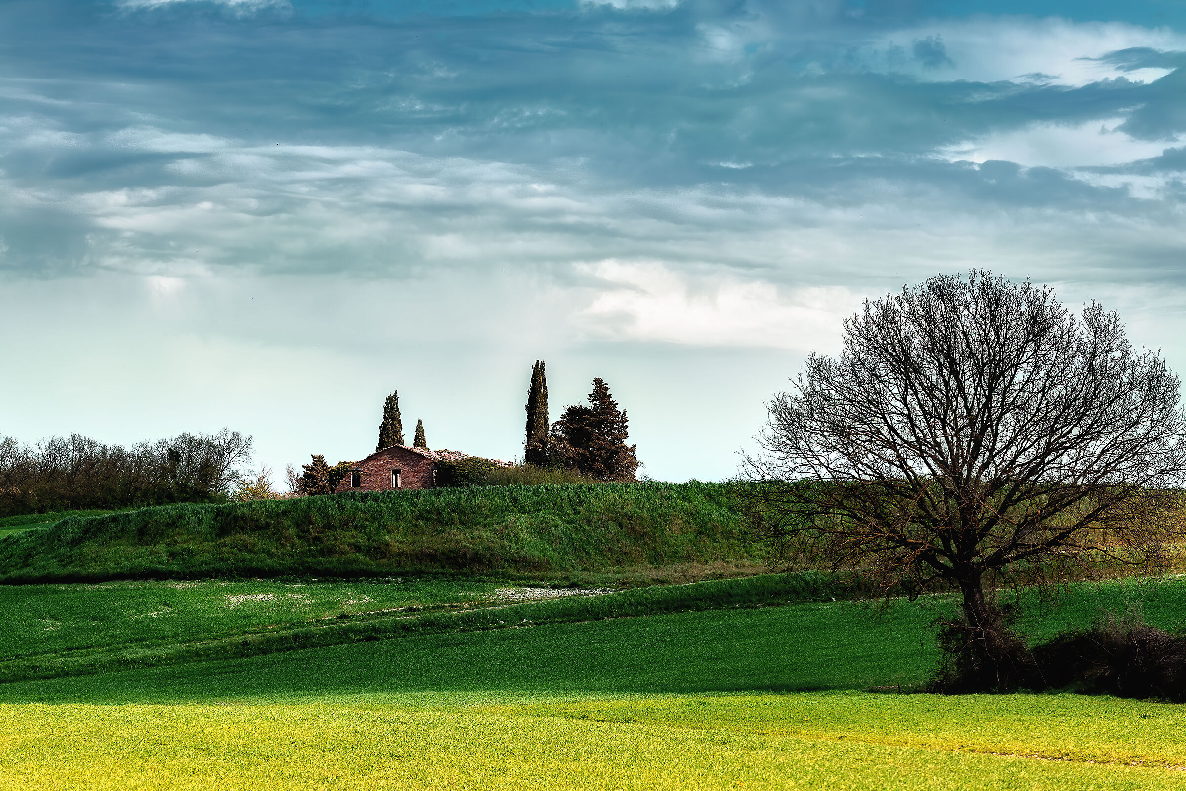Southern Valdichian landscape