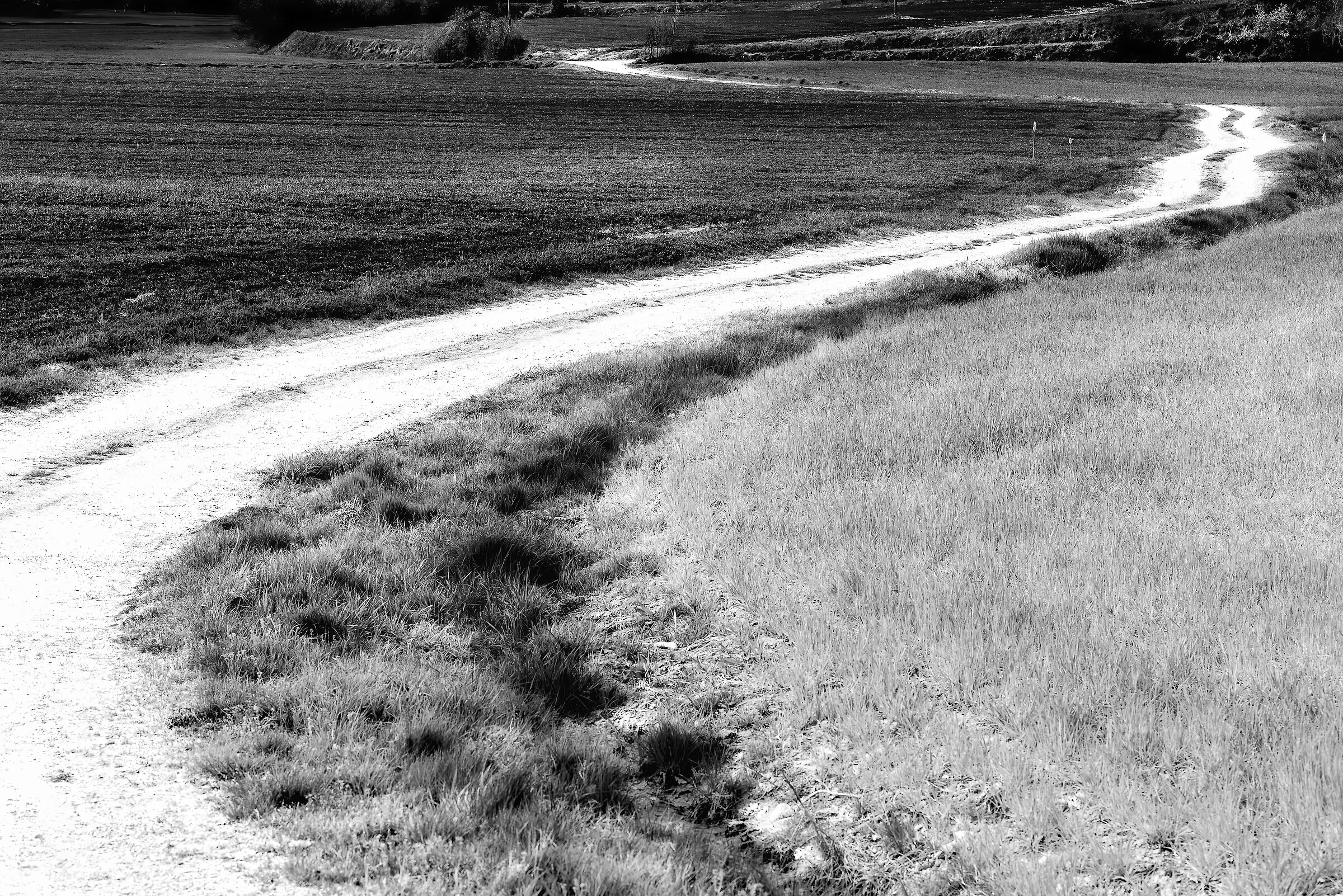 Southern Valdichian landscape