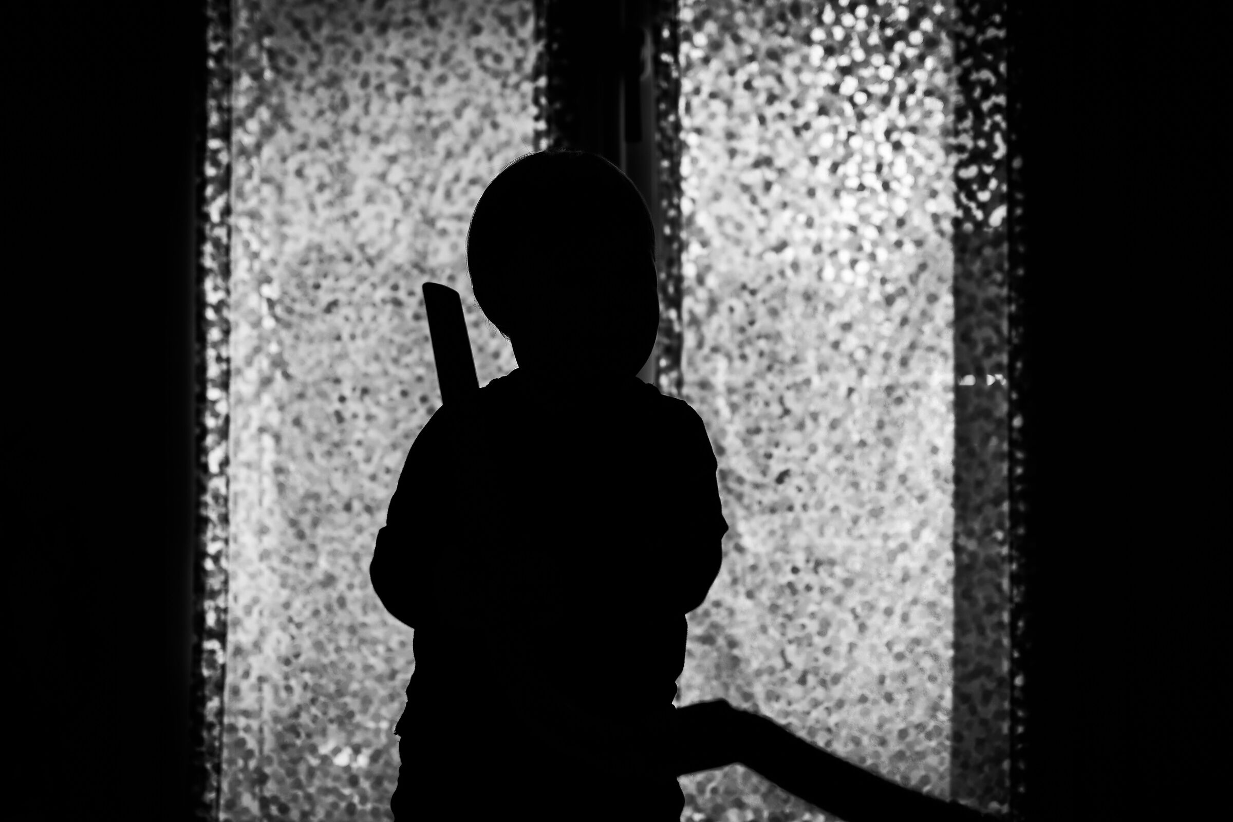 Il piccolo ladruncolo dell'aspirapolvere