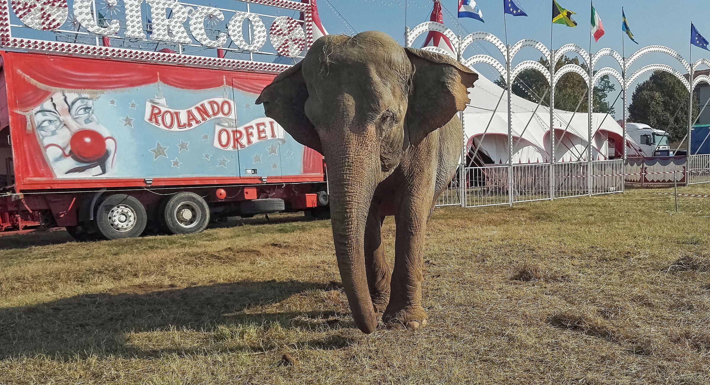 elephant circus orlando orfei made with honor 7 4/10/18