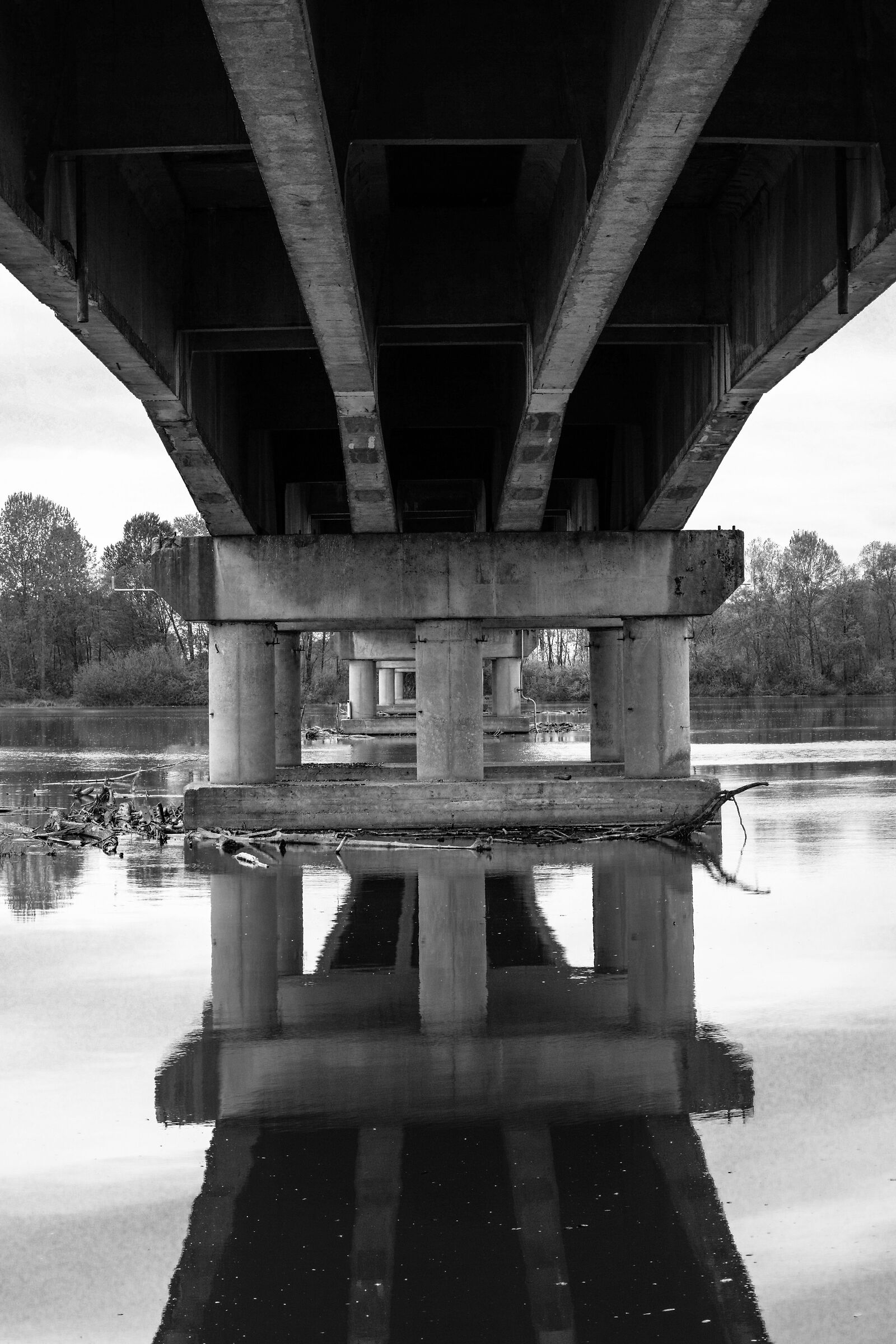 Under the bridge over the Po