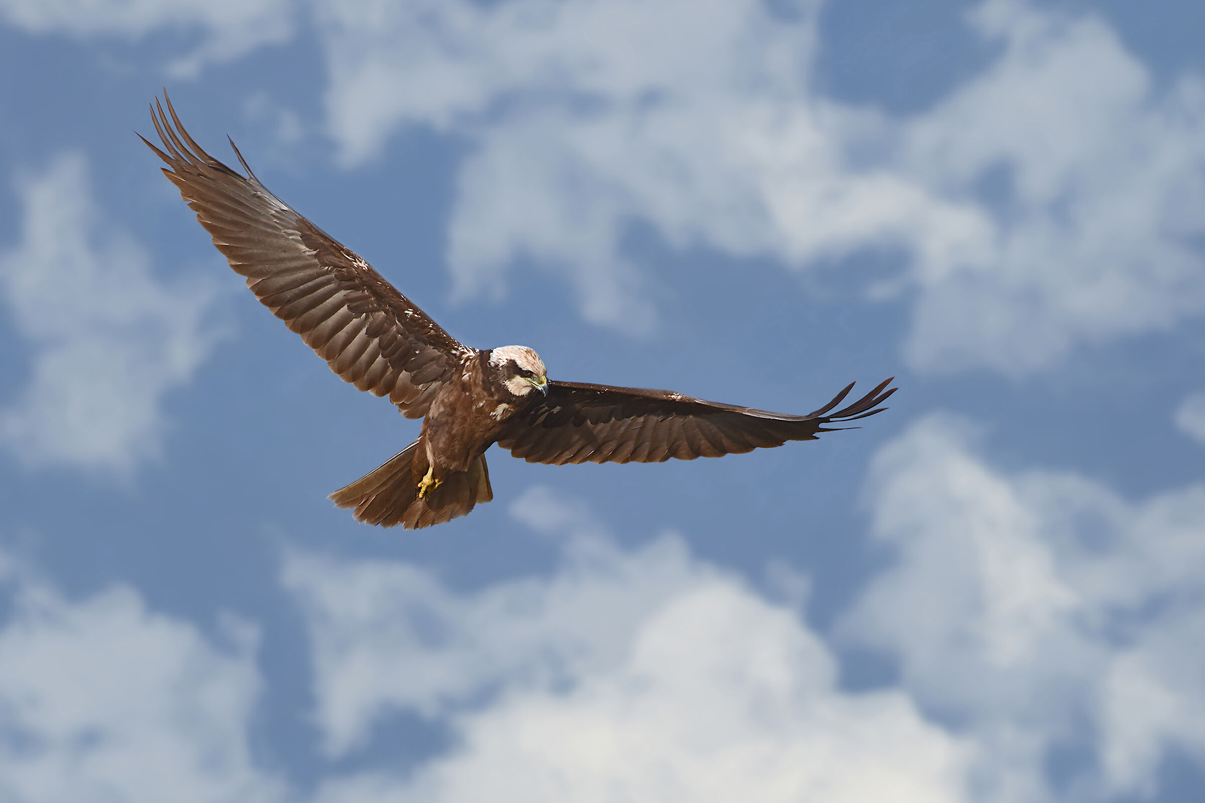 happy to be up there