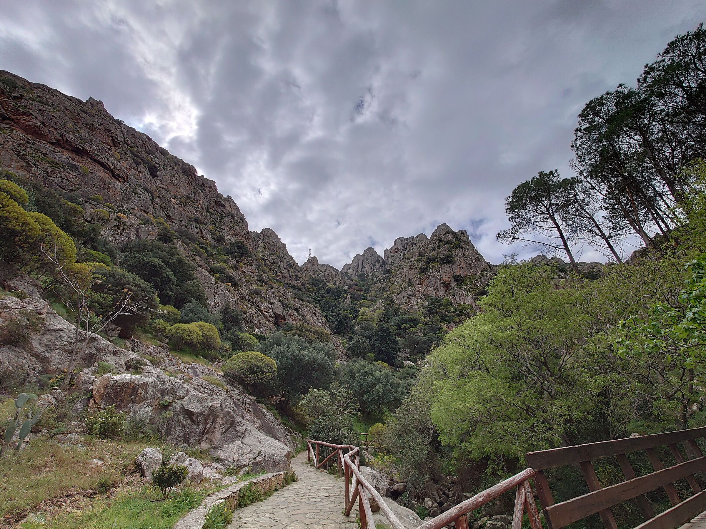 Xperia 5 mark II 16mm