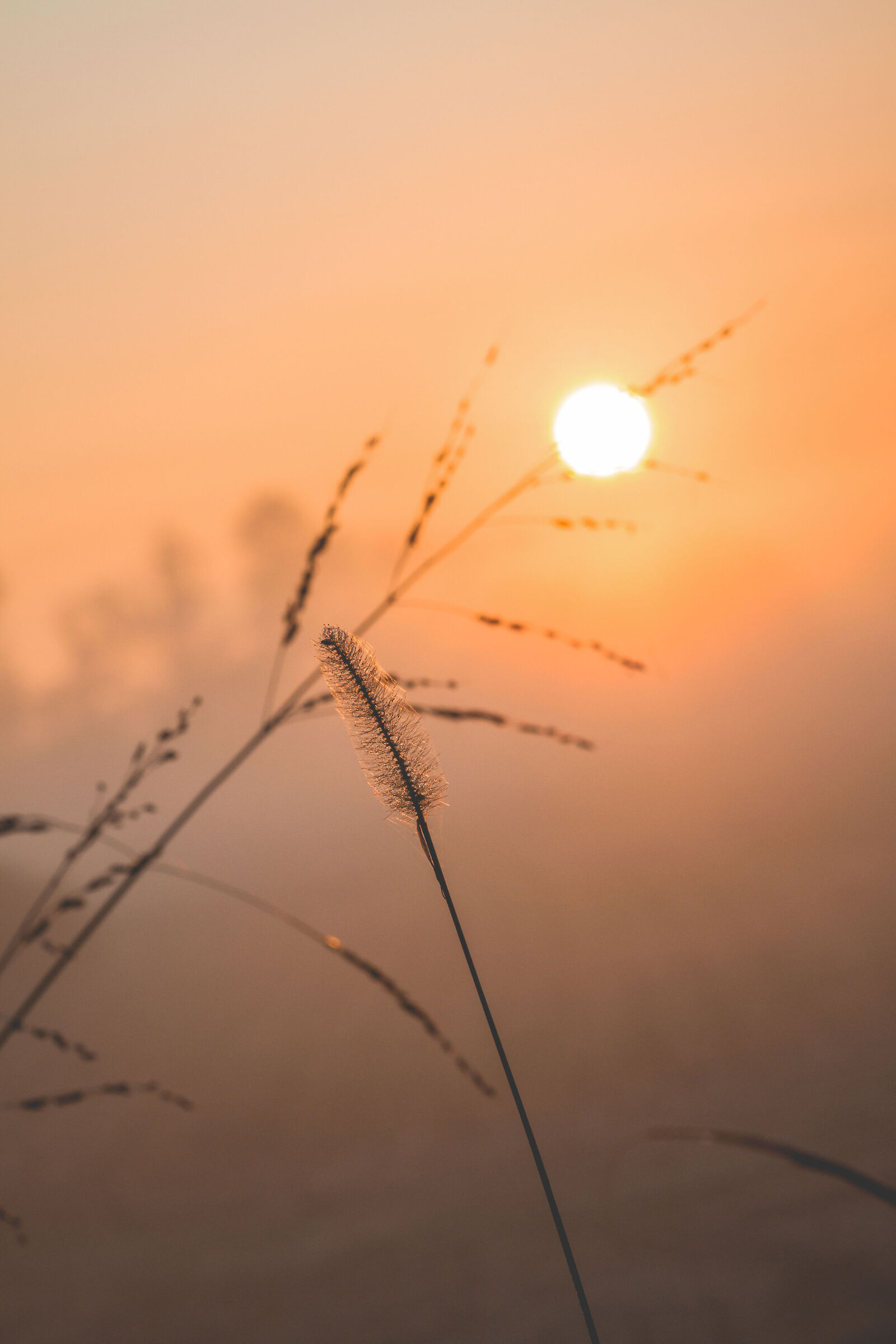 Watch the sunrise