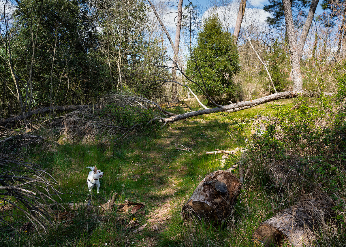 So small towards the world