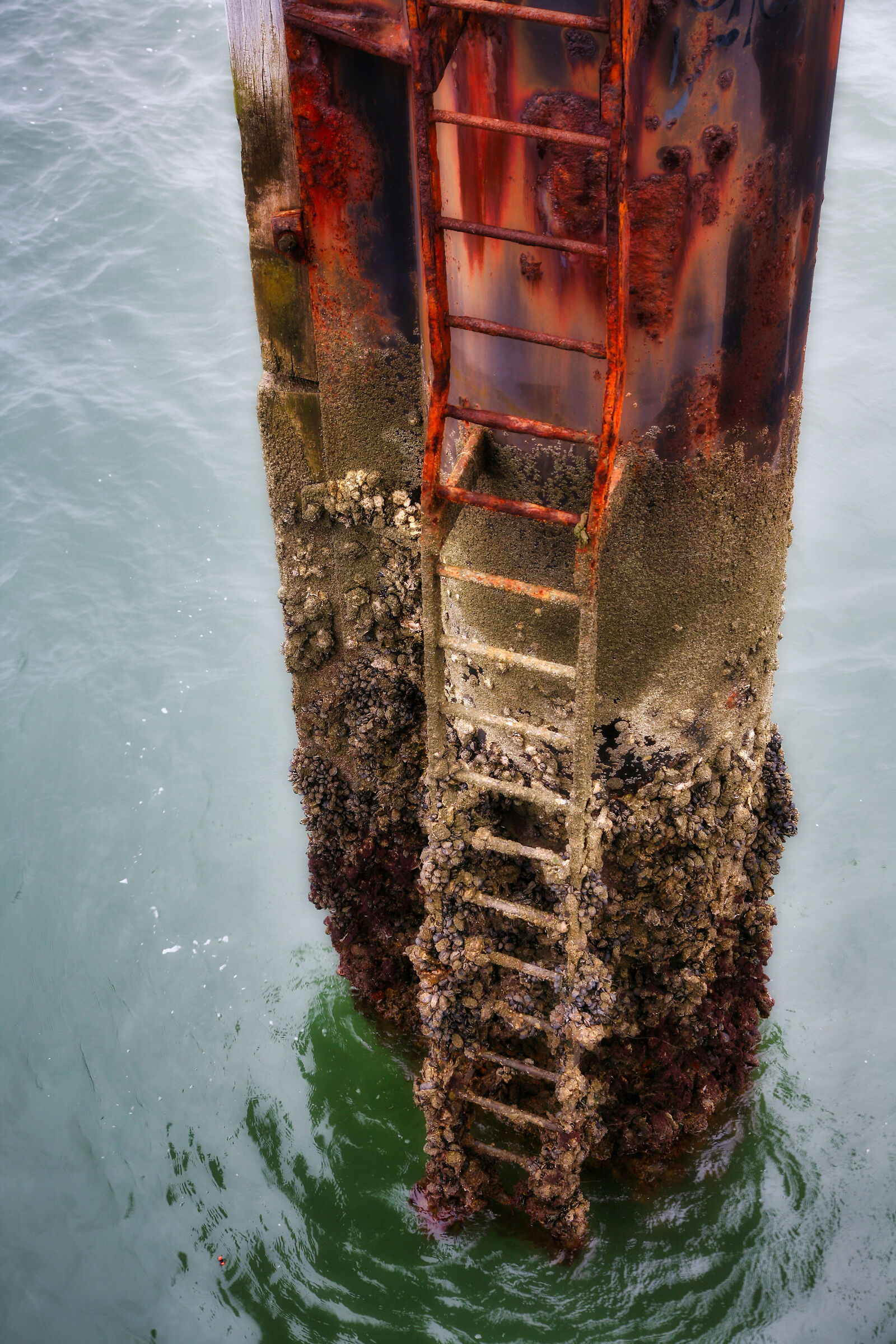 Brotherhoods of France