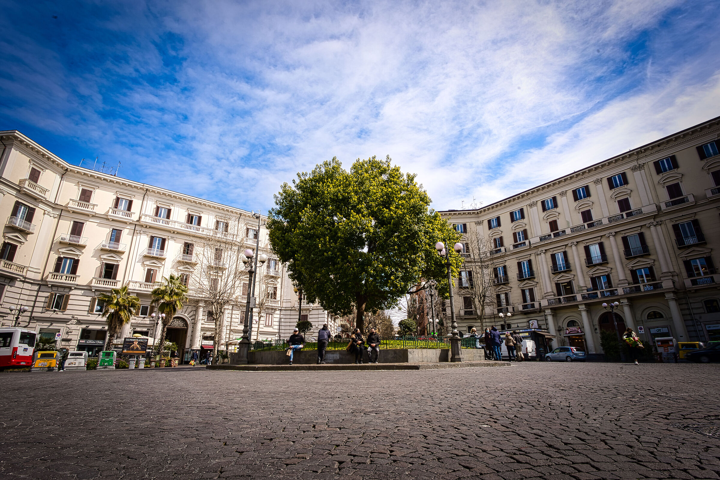 Wide Tree