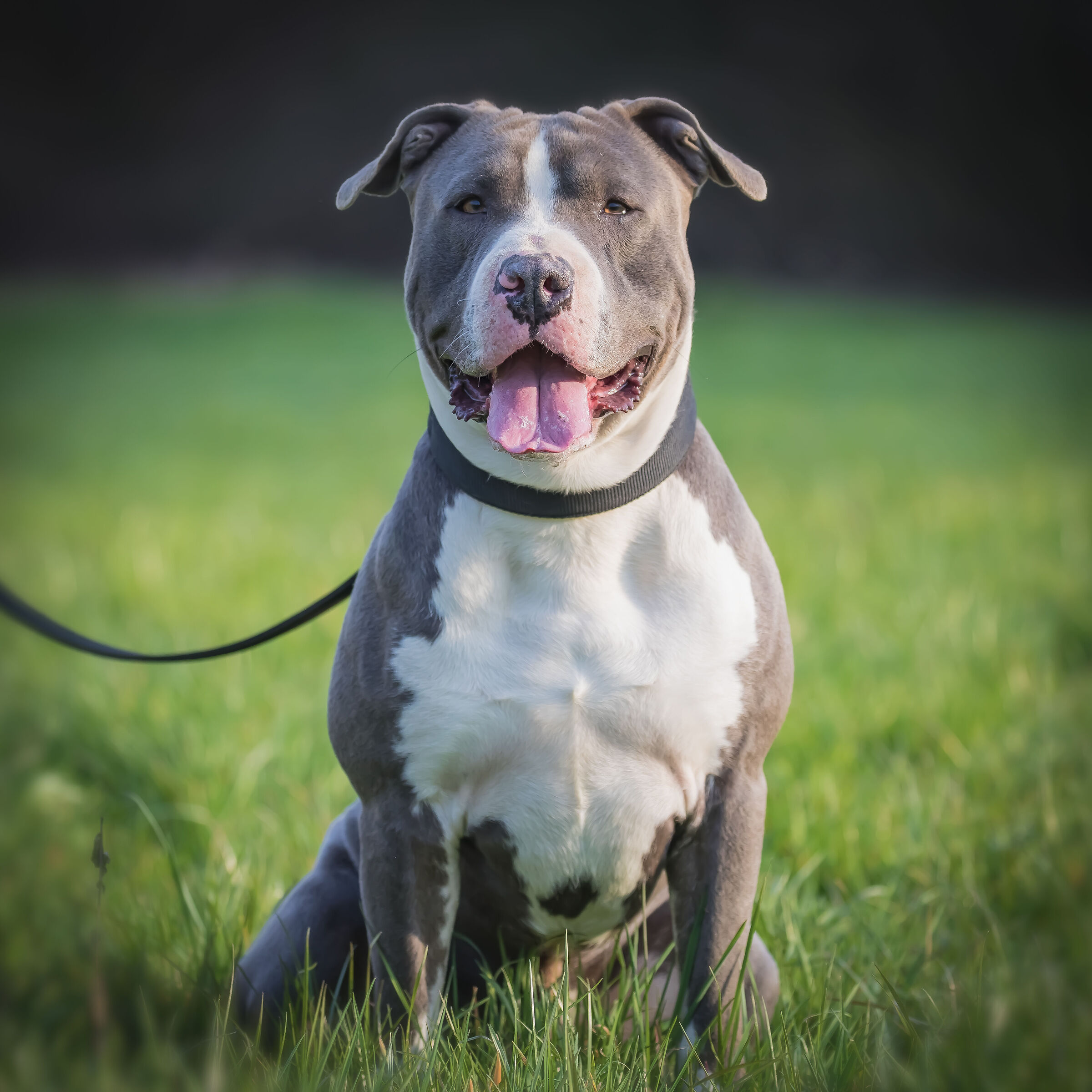 In posa per la foto.