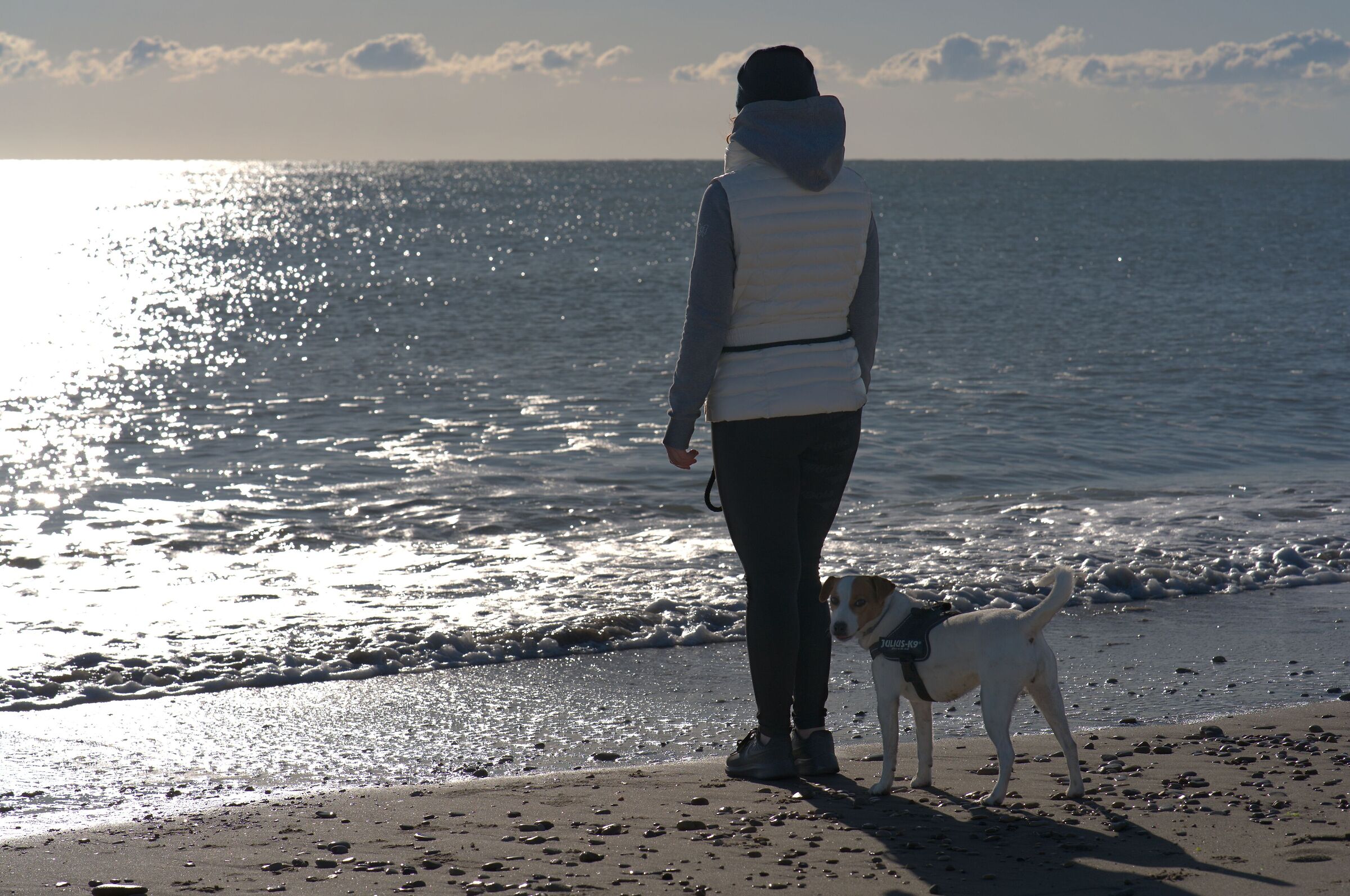 Observing the sea ....