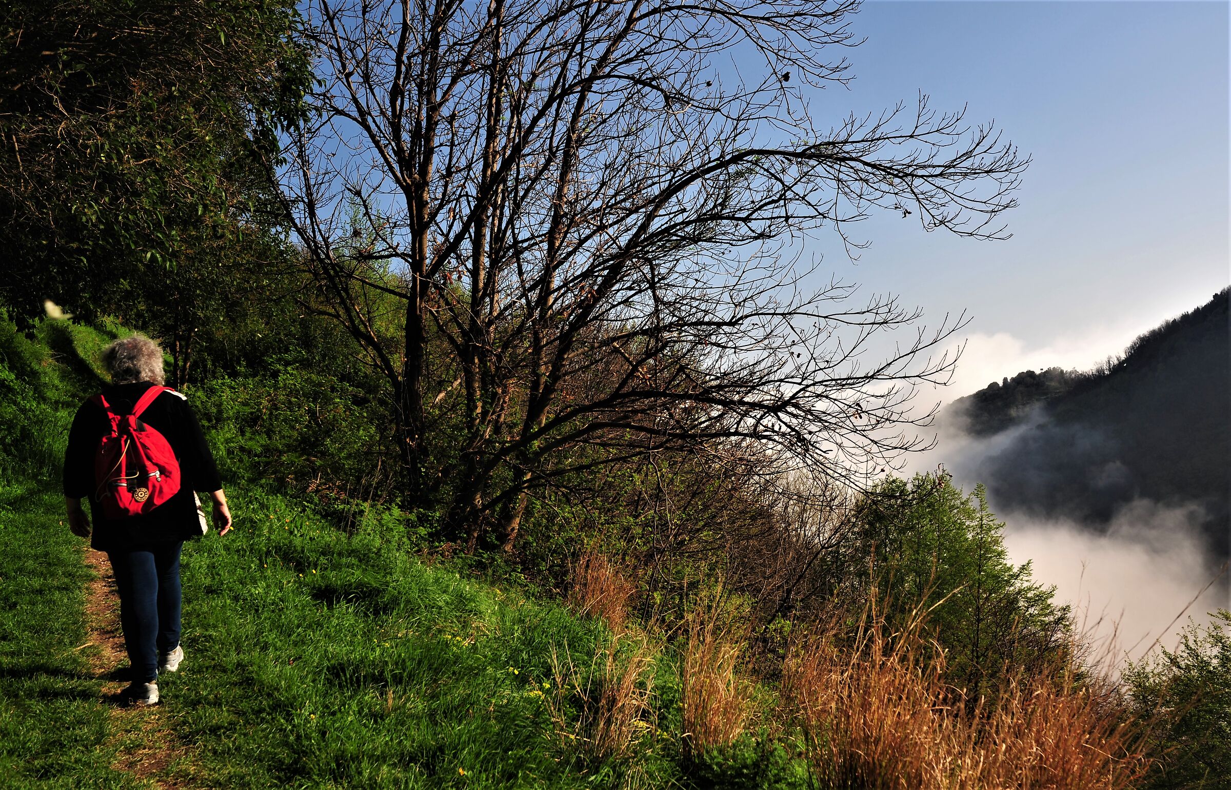 Walking over the "Caligo"