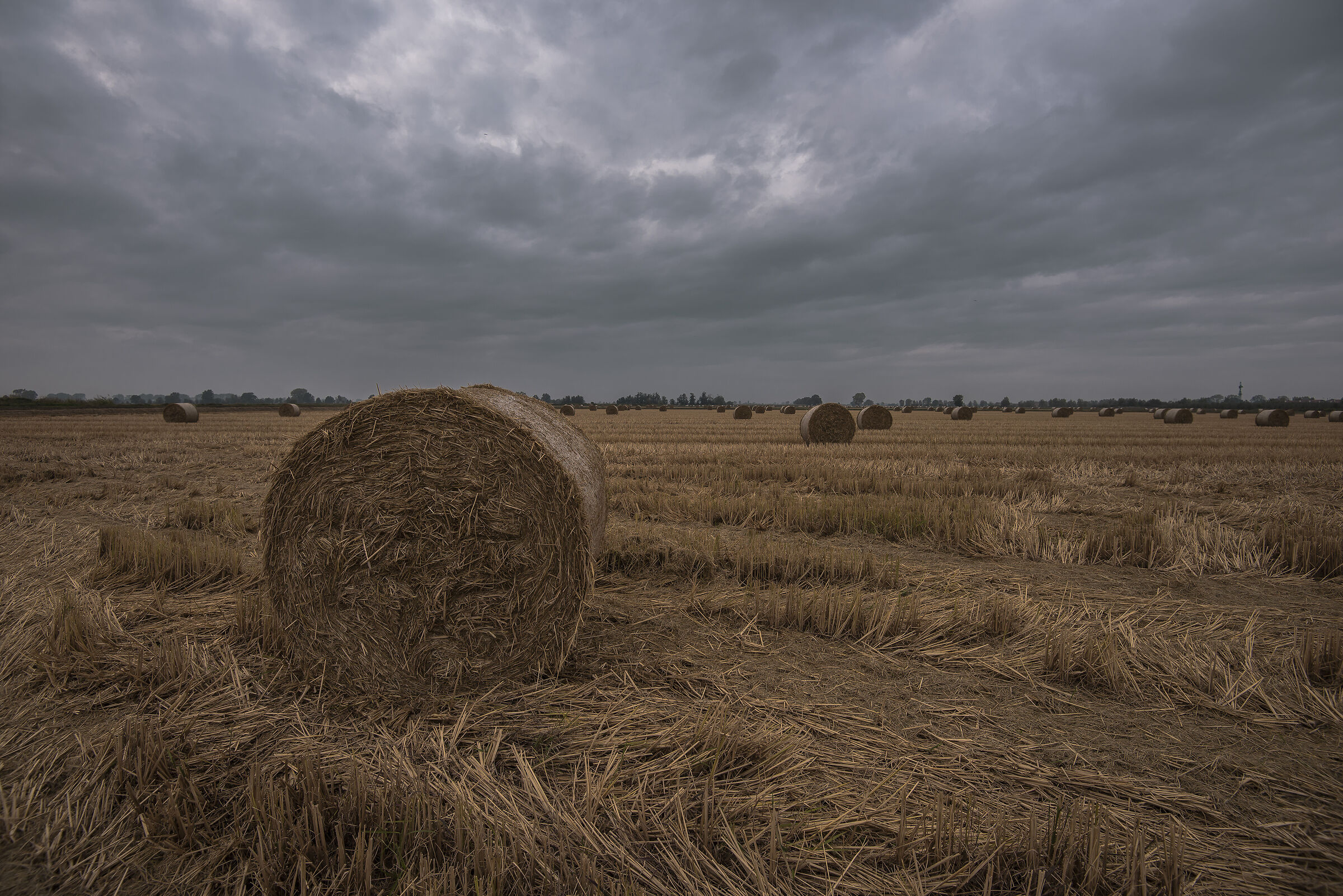 Harvest finished, autumn just around the corner........