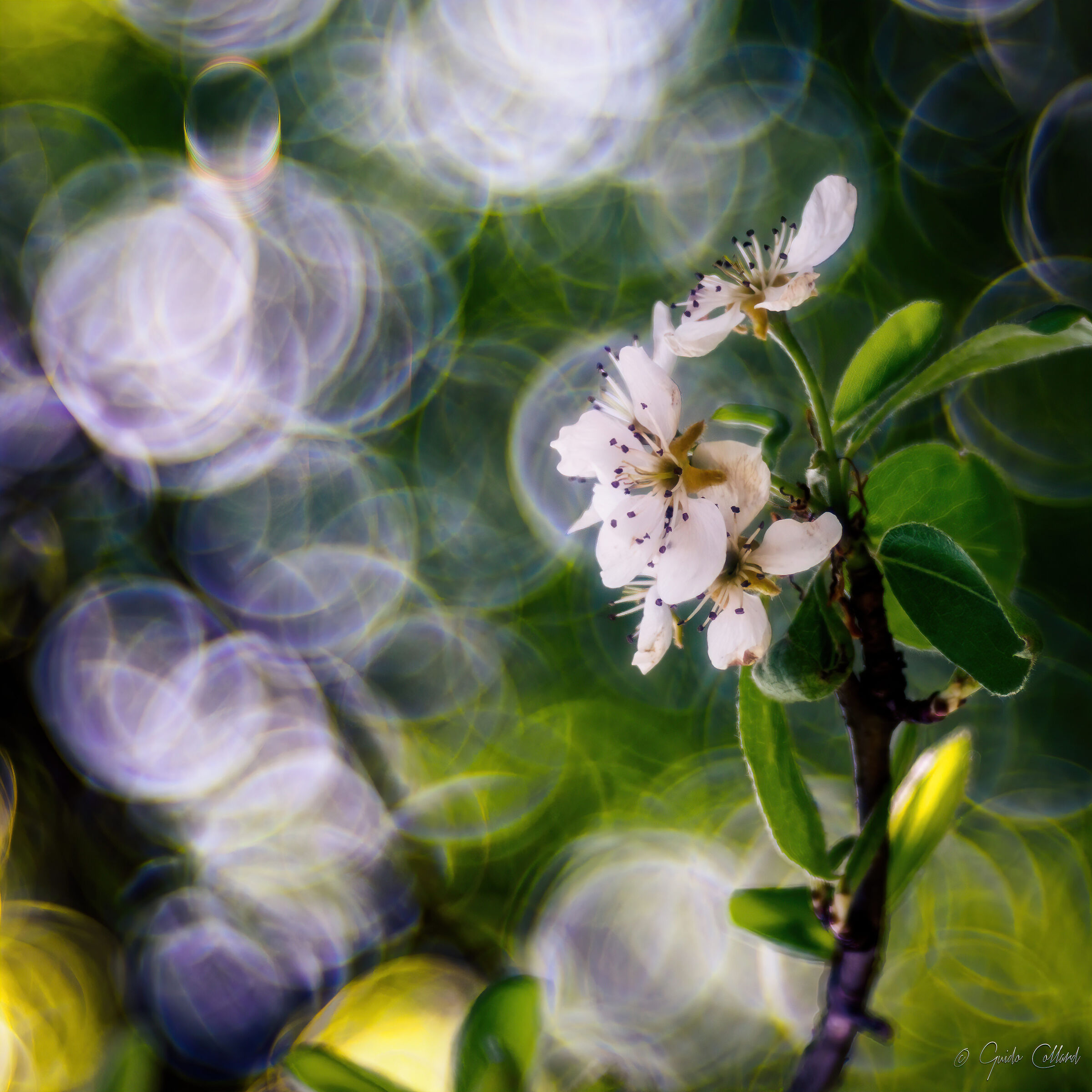 It's a Kind of Magic