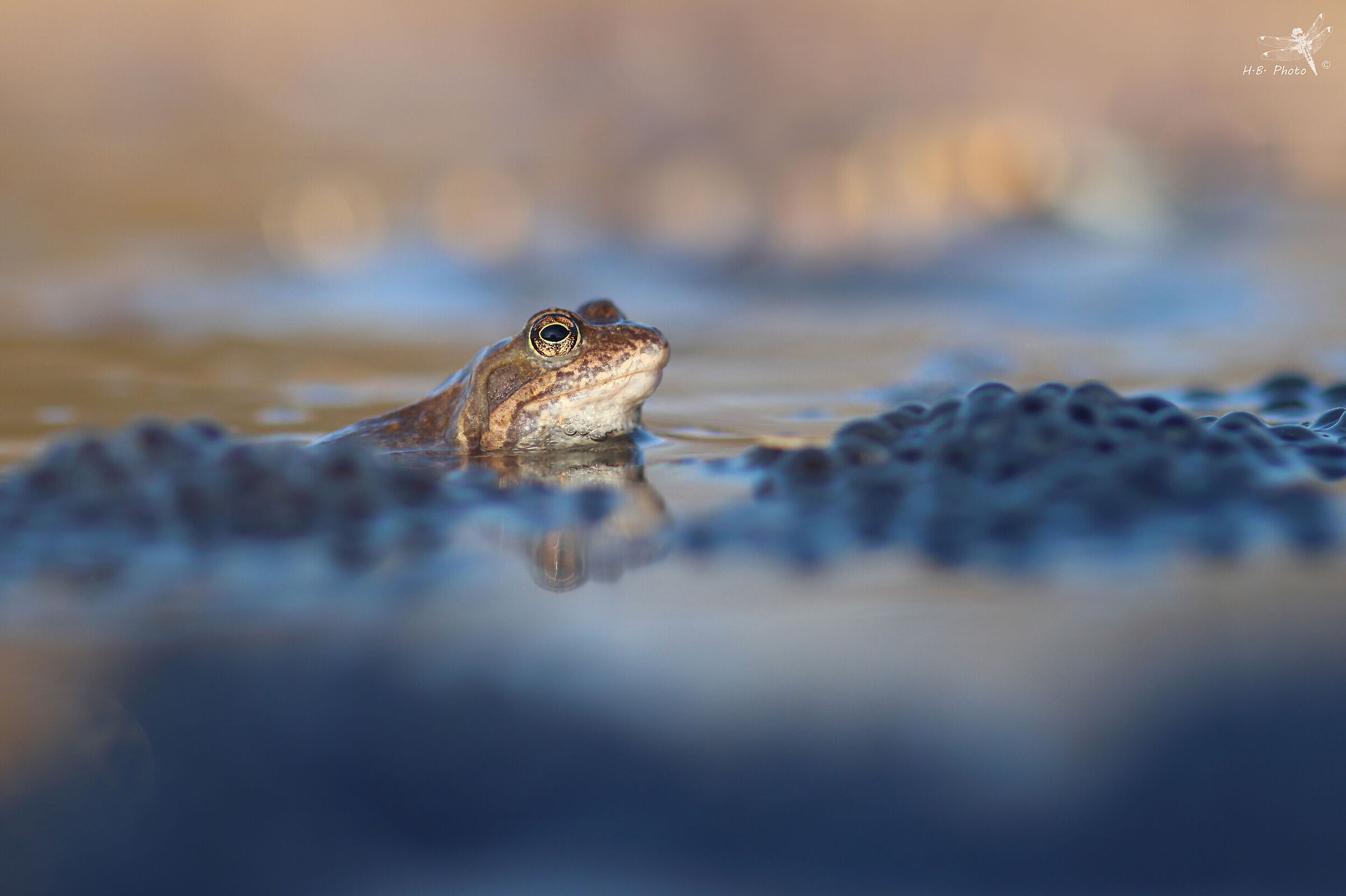 When the sun went to sleep....