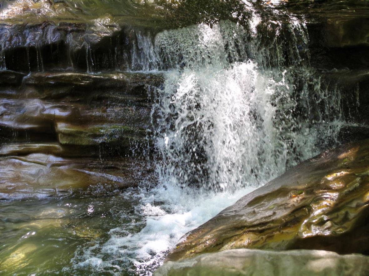 Tuscan Apennine Waters