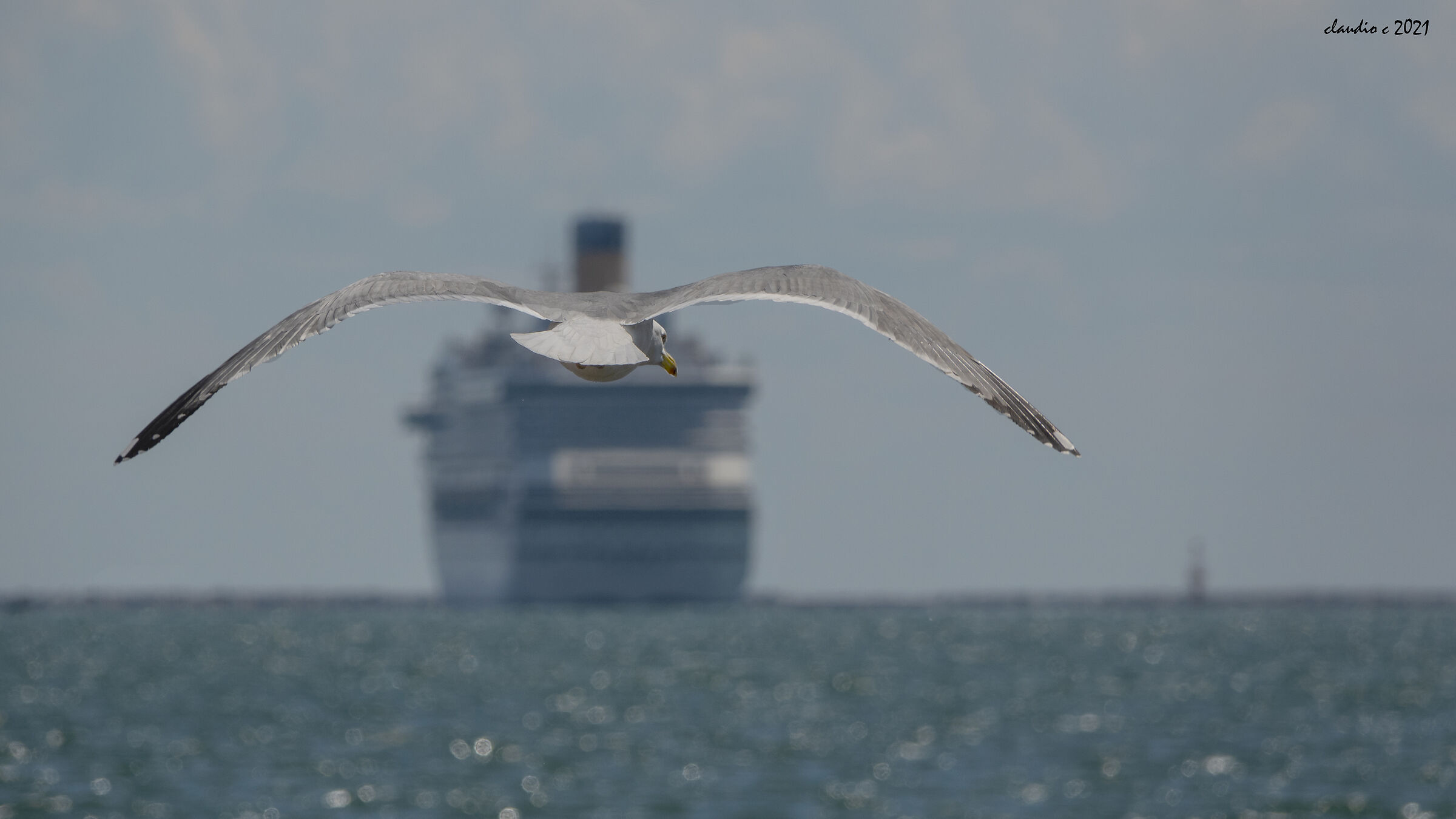 My friend goes on a cruise