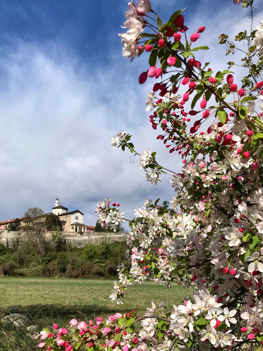 The Soul of Spring