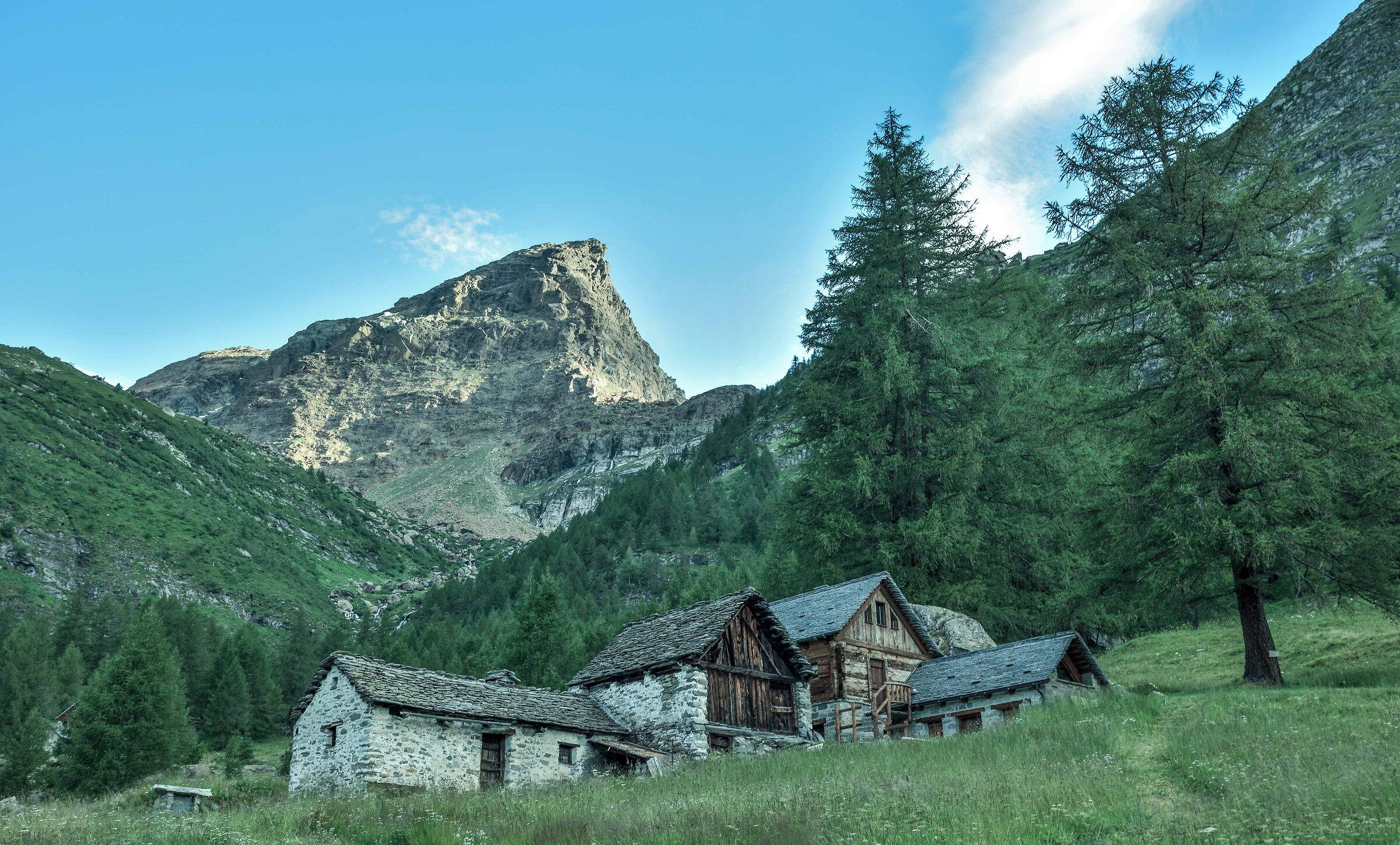 alpeggio verso il Pian della Rossa