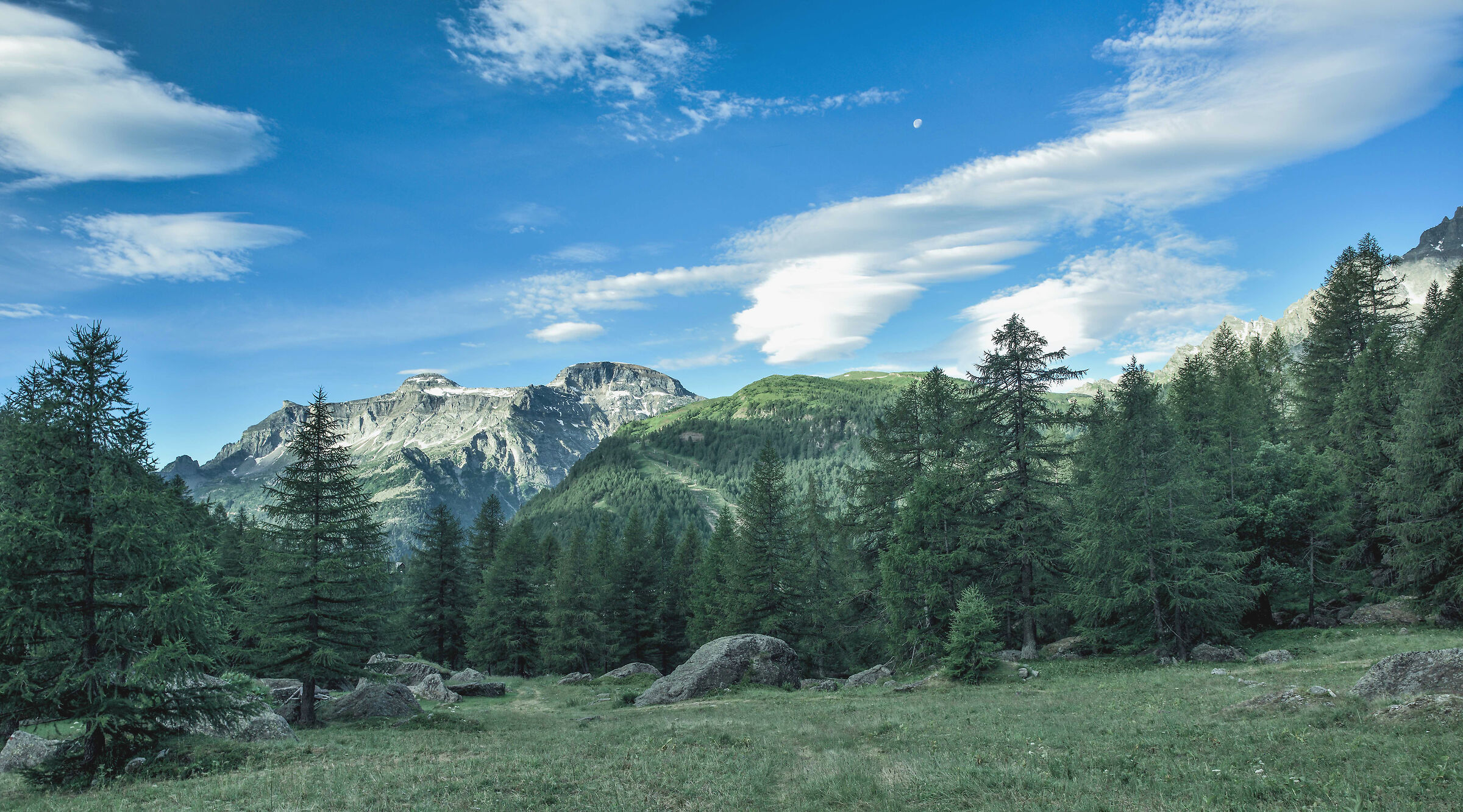 dal sentiero n 45 in alto da sin.Diei, Cistella e ×