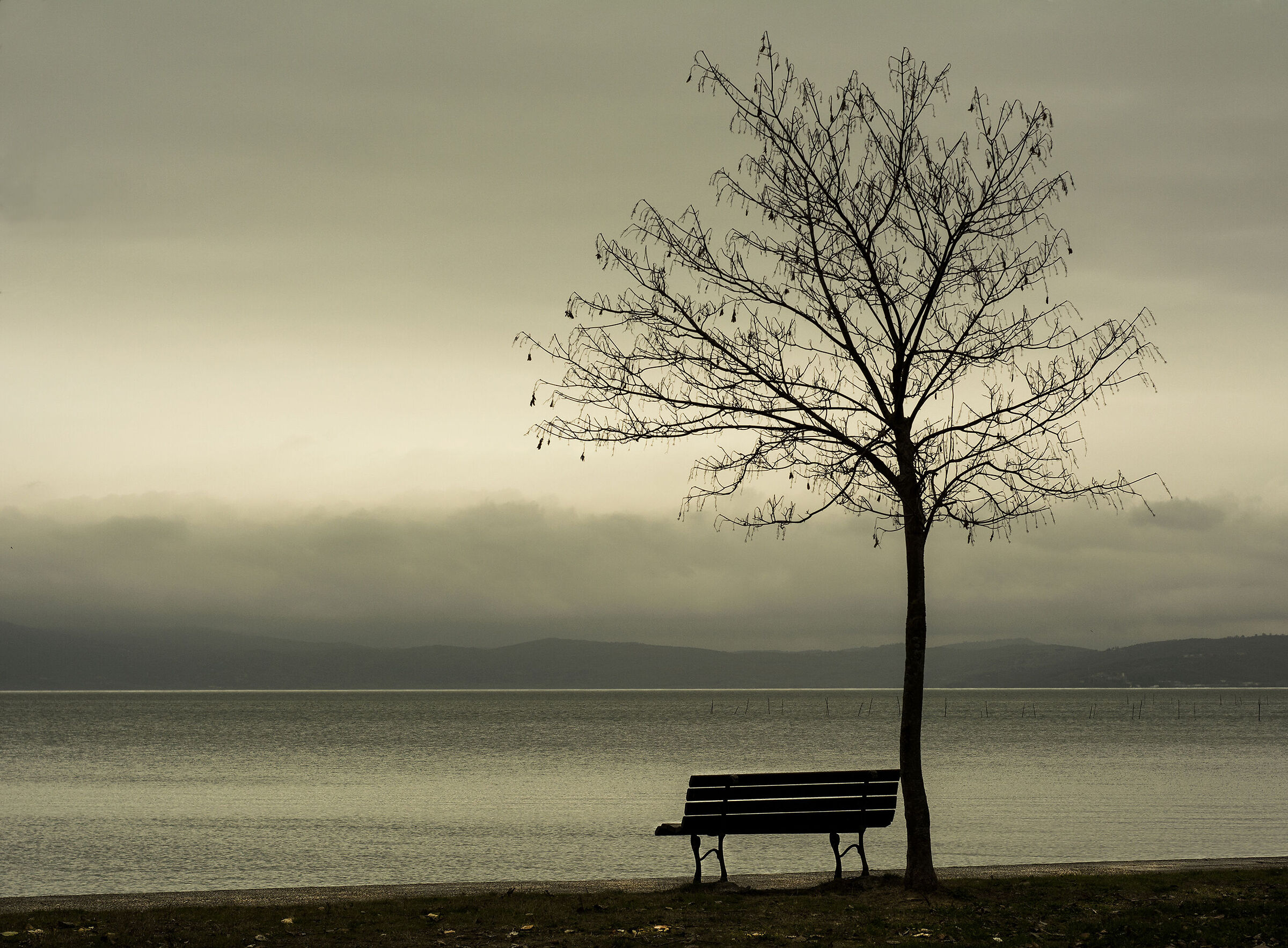Se non ci metterà troppo aspetterò tutta la vi...