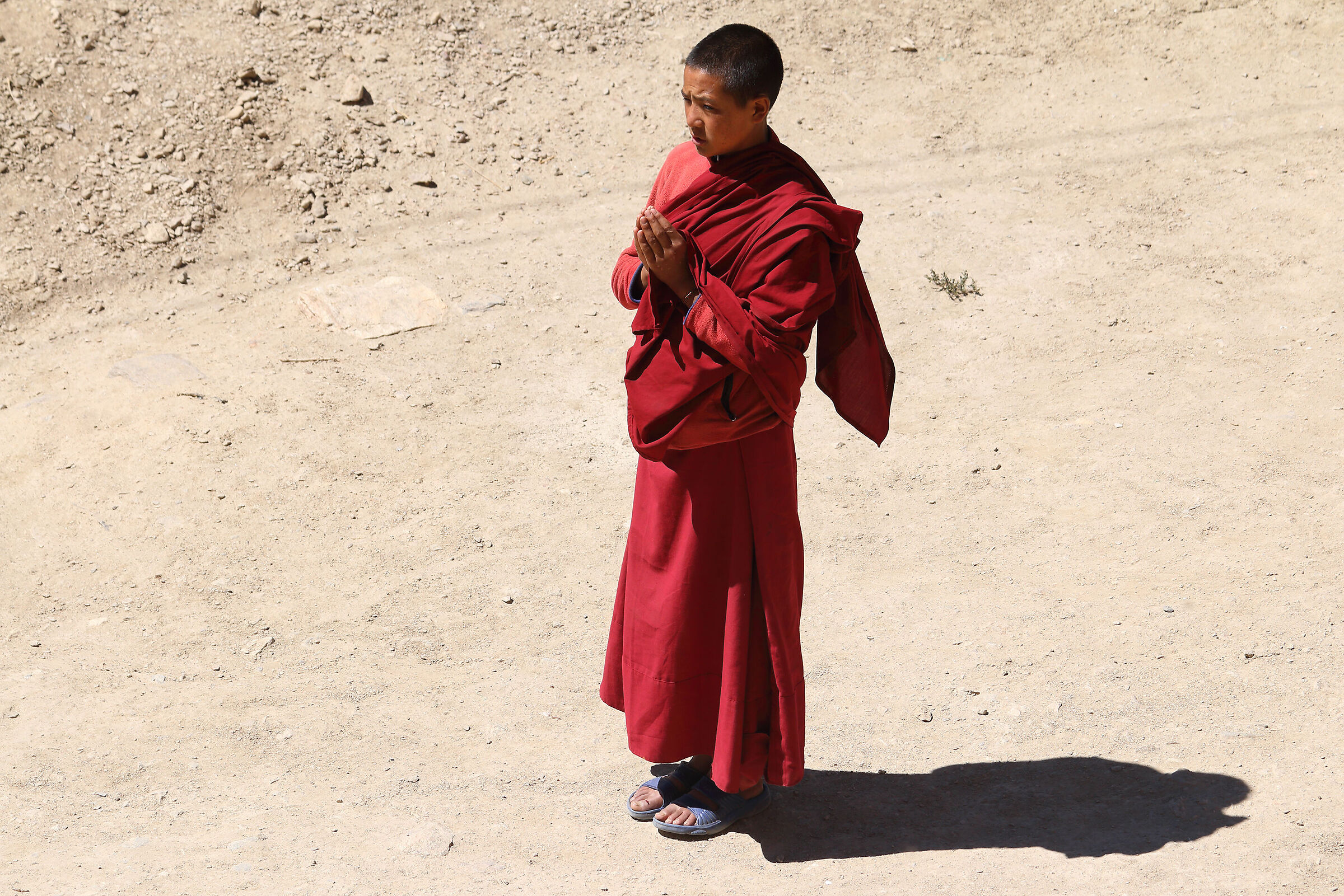 the "puja" of the young monk